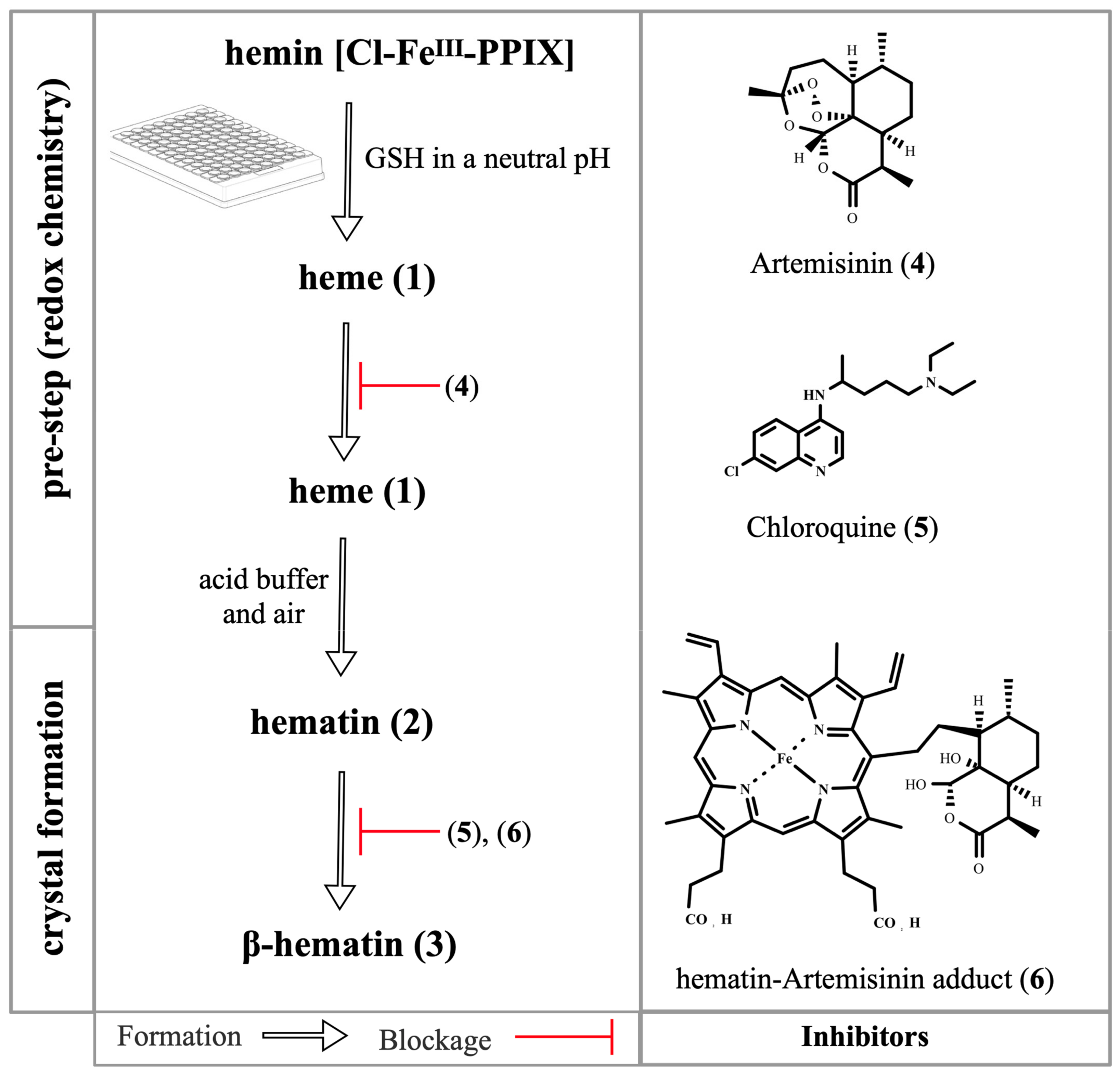 Pharmaceuticals 15 00060 g005
