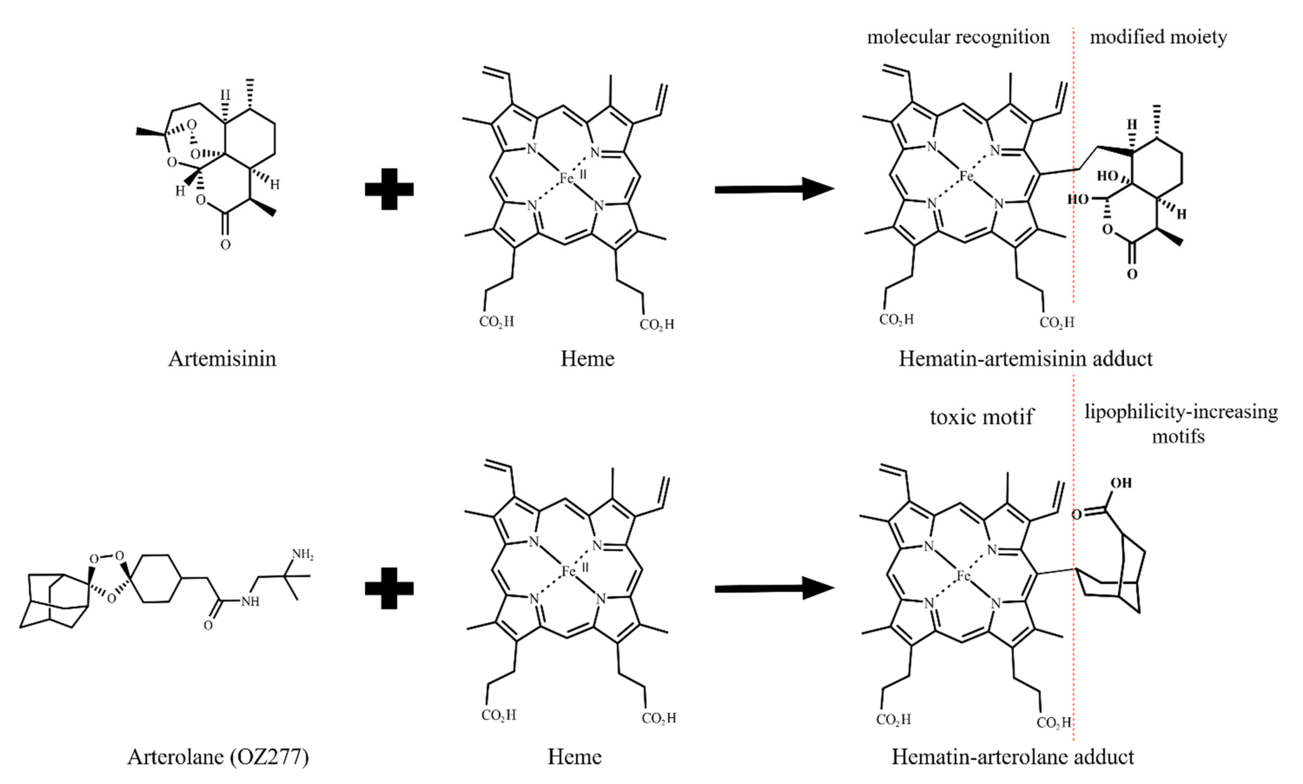 Pharmaceuticals 15 00060 g007