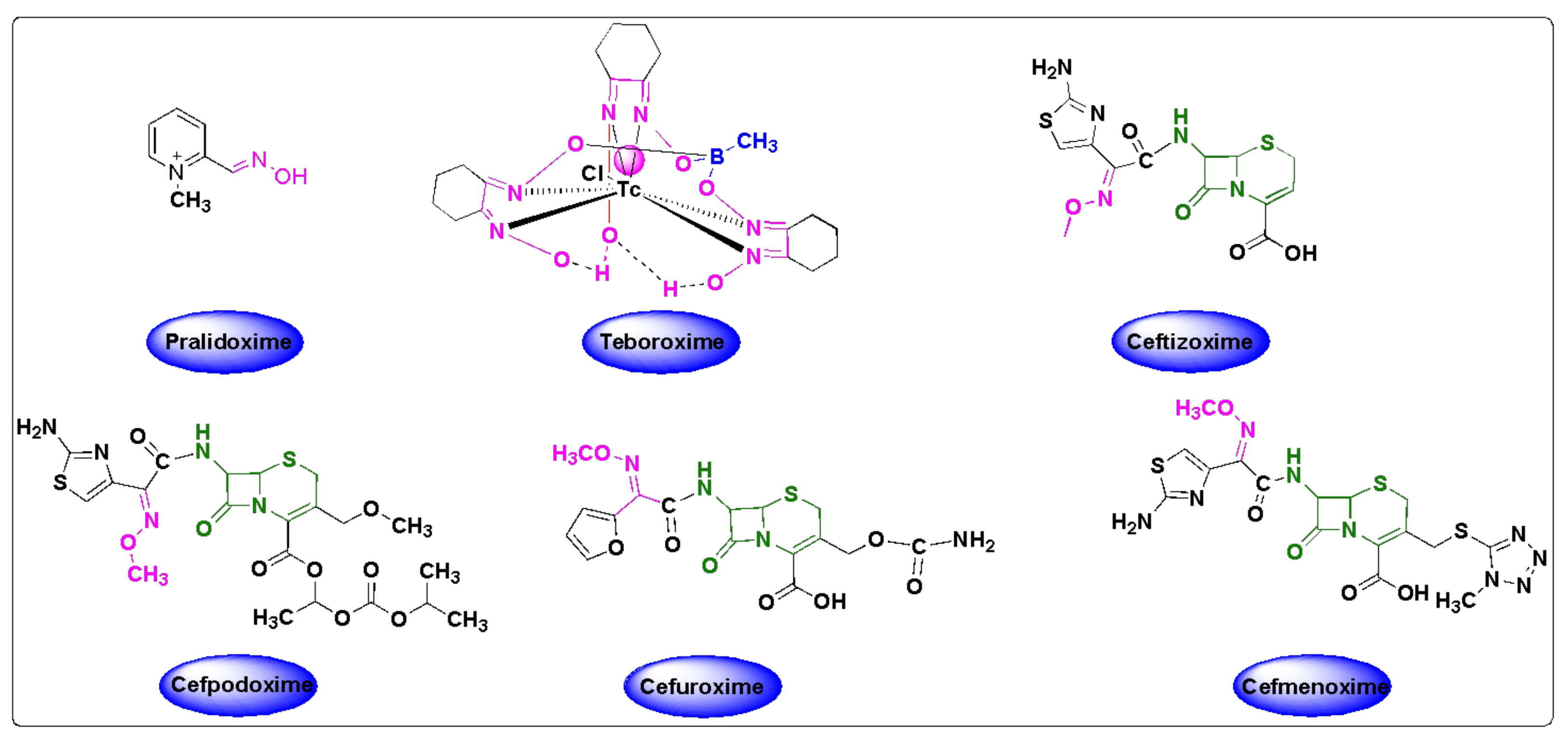 Pharmaceuticals 15 00066 g002