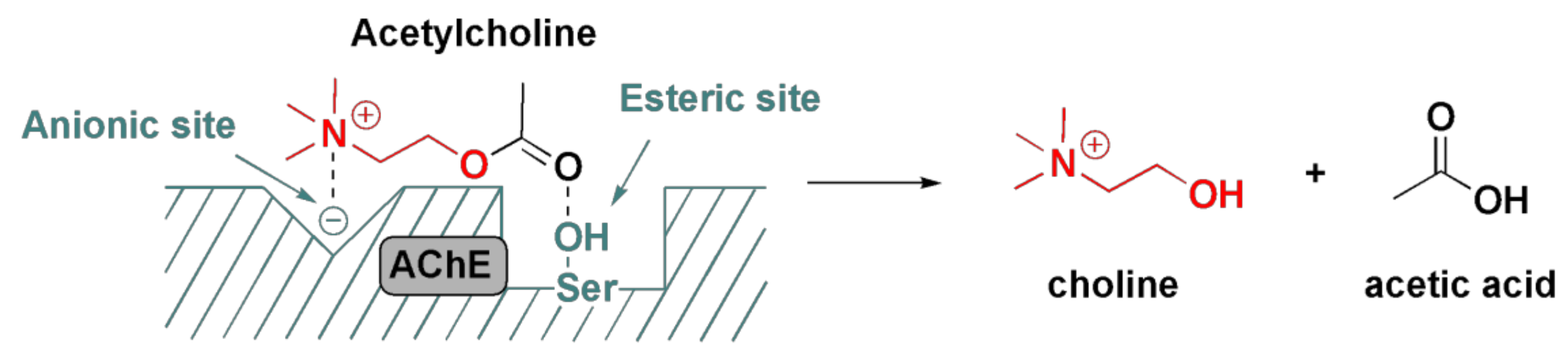 Pharmaceuticals 15 00066 g006