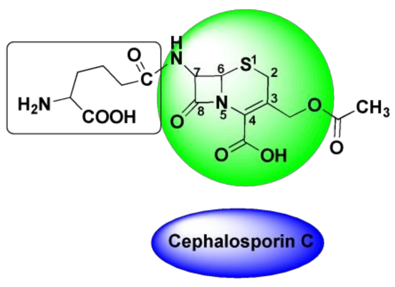 Pharmaceuticals 15 00066 g010