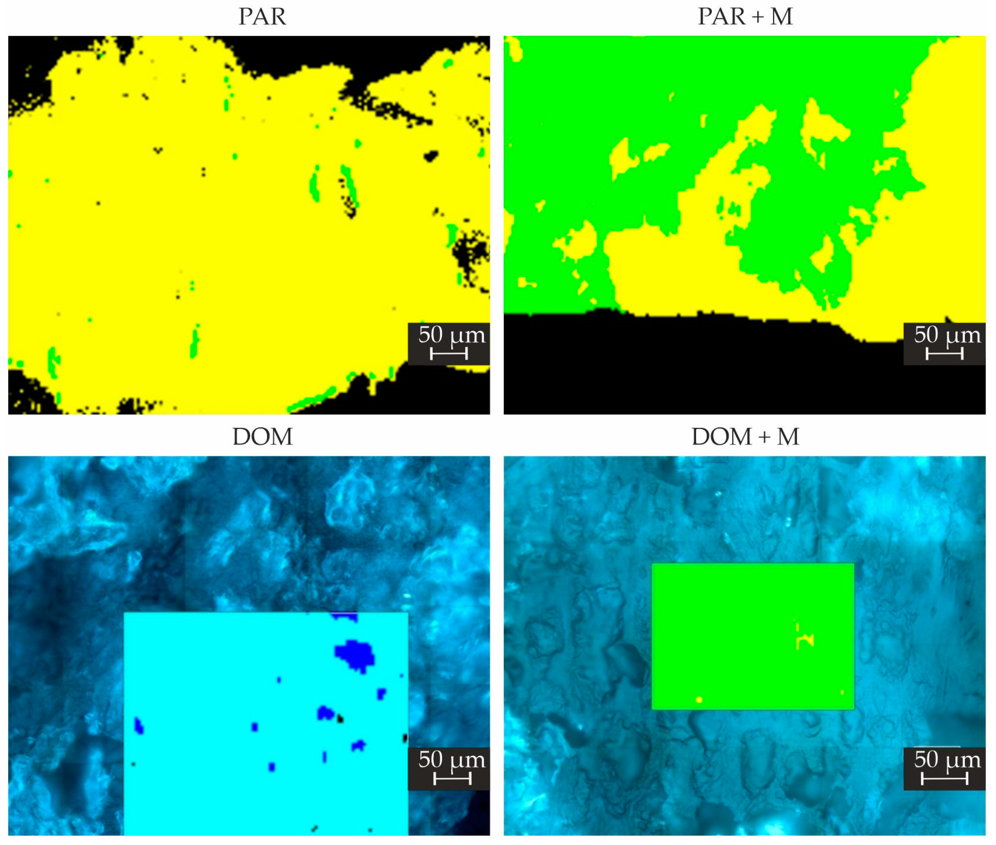 Pharmaceuticals 15 00069 g009