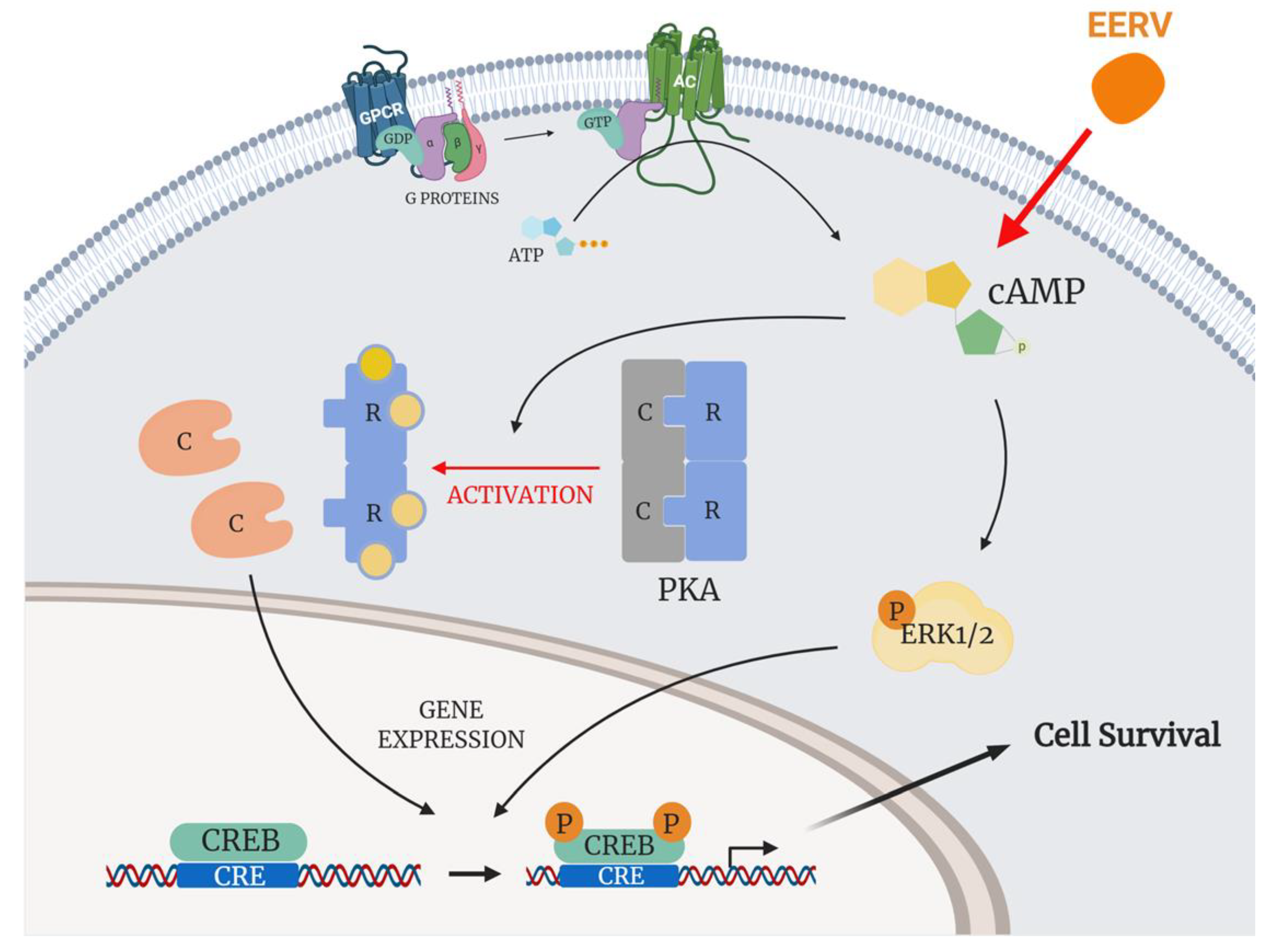 Pharmaceuticals 15 00073 g008 Pharmaceuticals 15 00073 g008