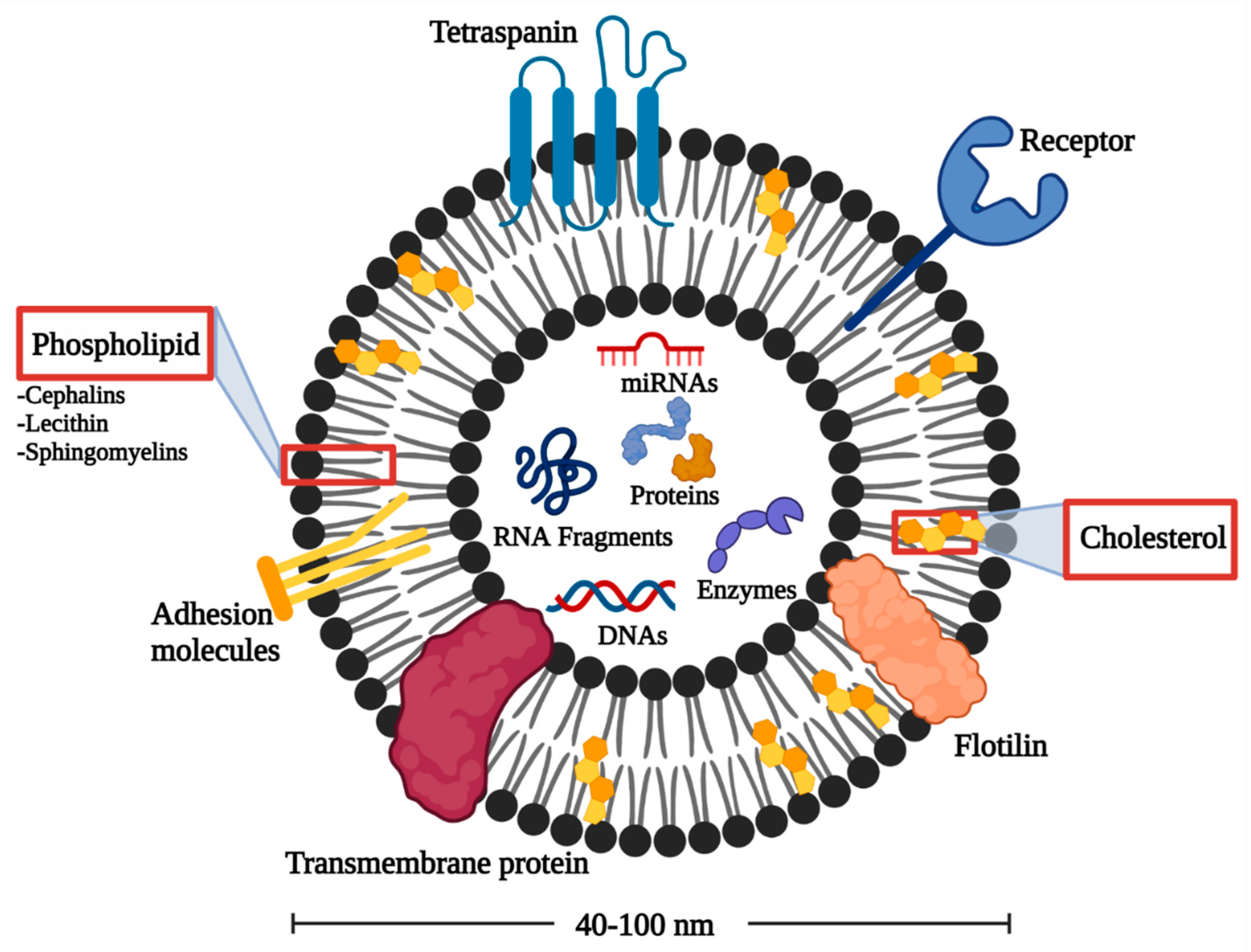 Pharmaceuticals 15 00076 g001 Pharmaceuticals 15 00076 g001