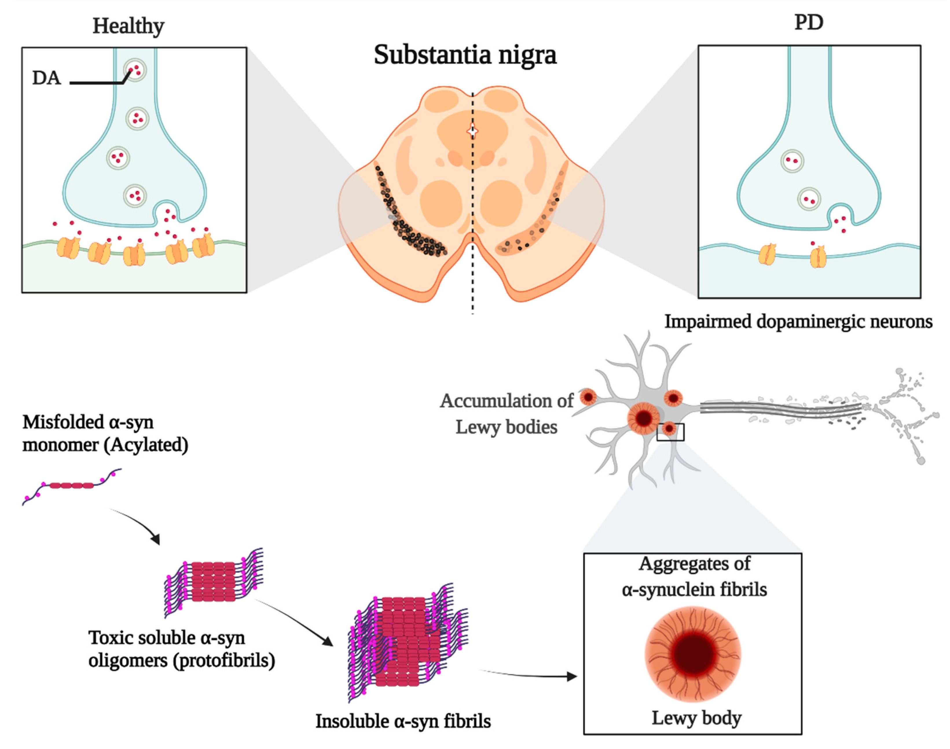 Pharmaceuticals 15 00076 g002 Pharmaceuticals 15 00076 g002