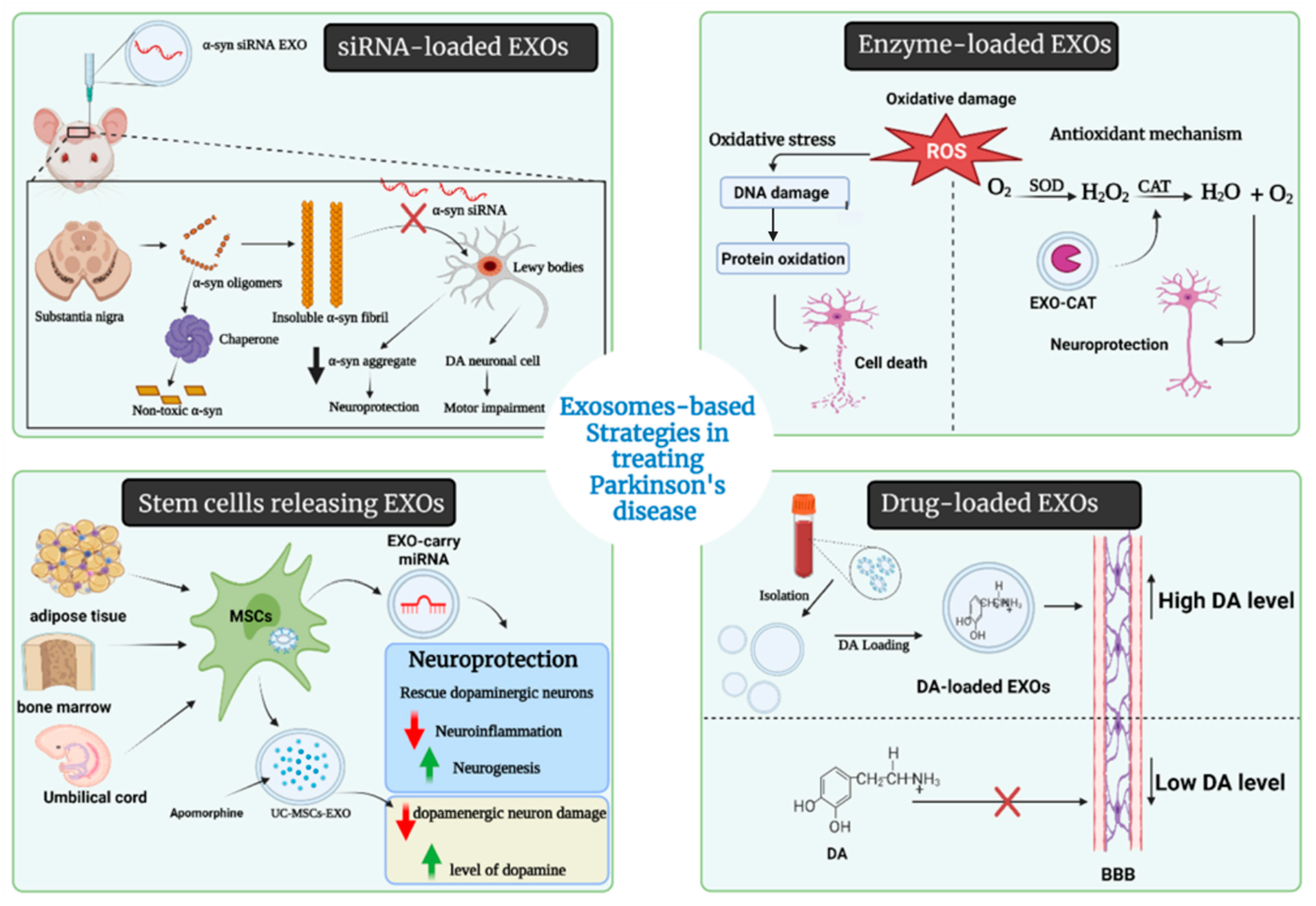 Pharmaceuticals 15 00076 g004 Pharmaceuticals 15 00076 g004
