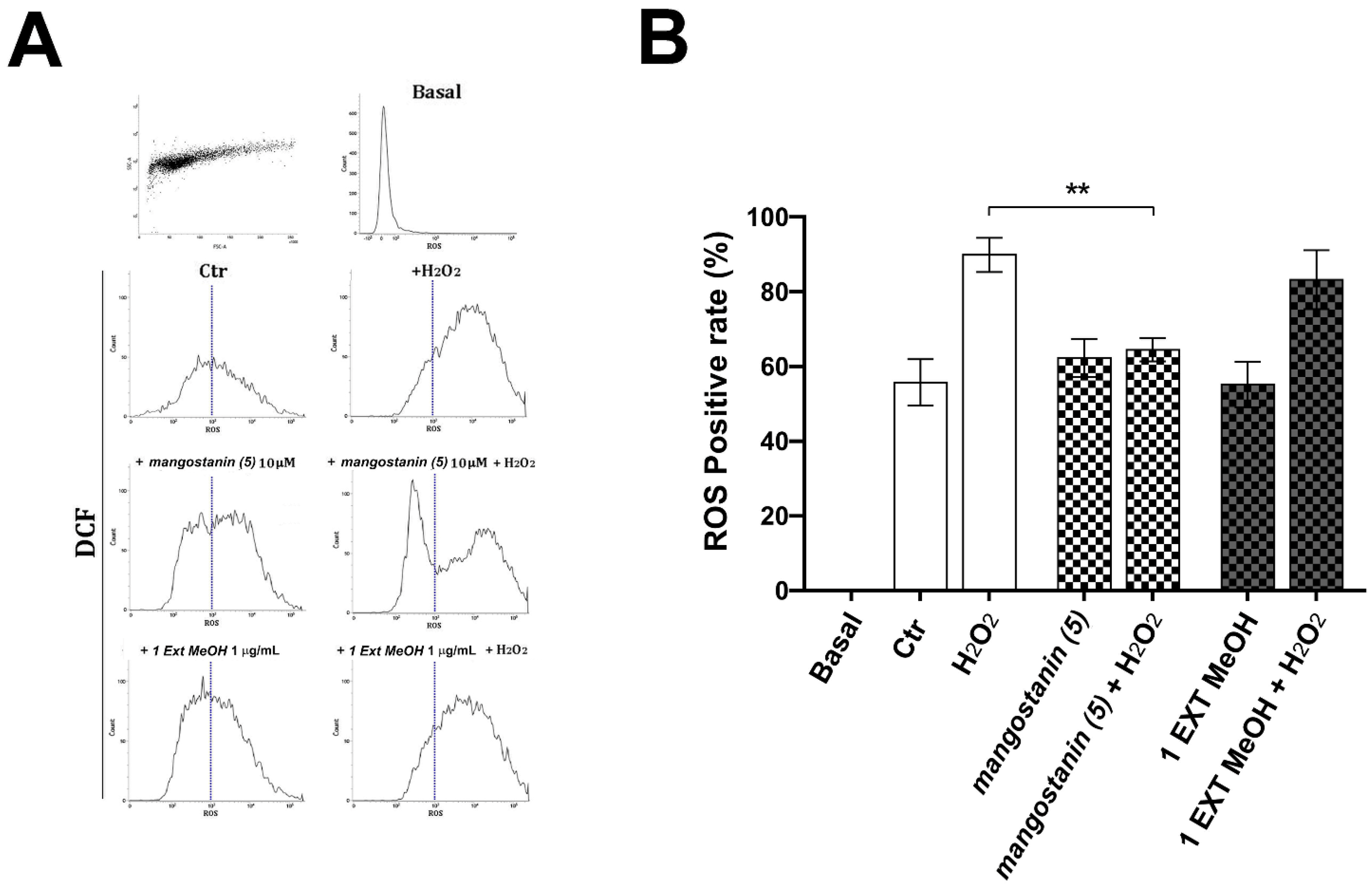 Pharmaceuticals 15 00084 g005