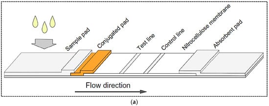 Pharmaceuticals 15 00090 g001a 550