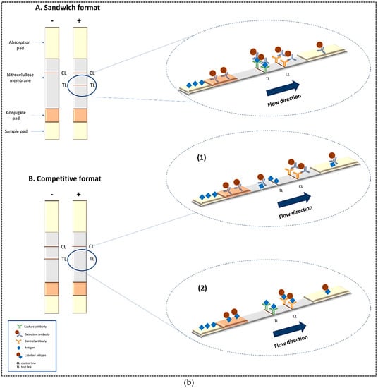 Pharmaceuticals 15 00090 g001b 550