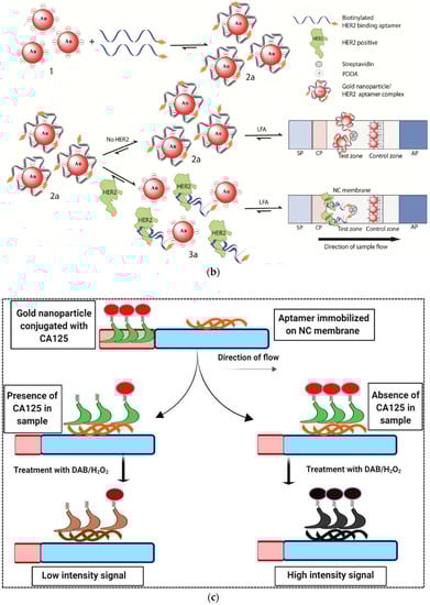 Pharmaceuticals 15 00090 g003b 550