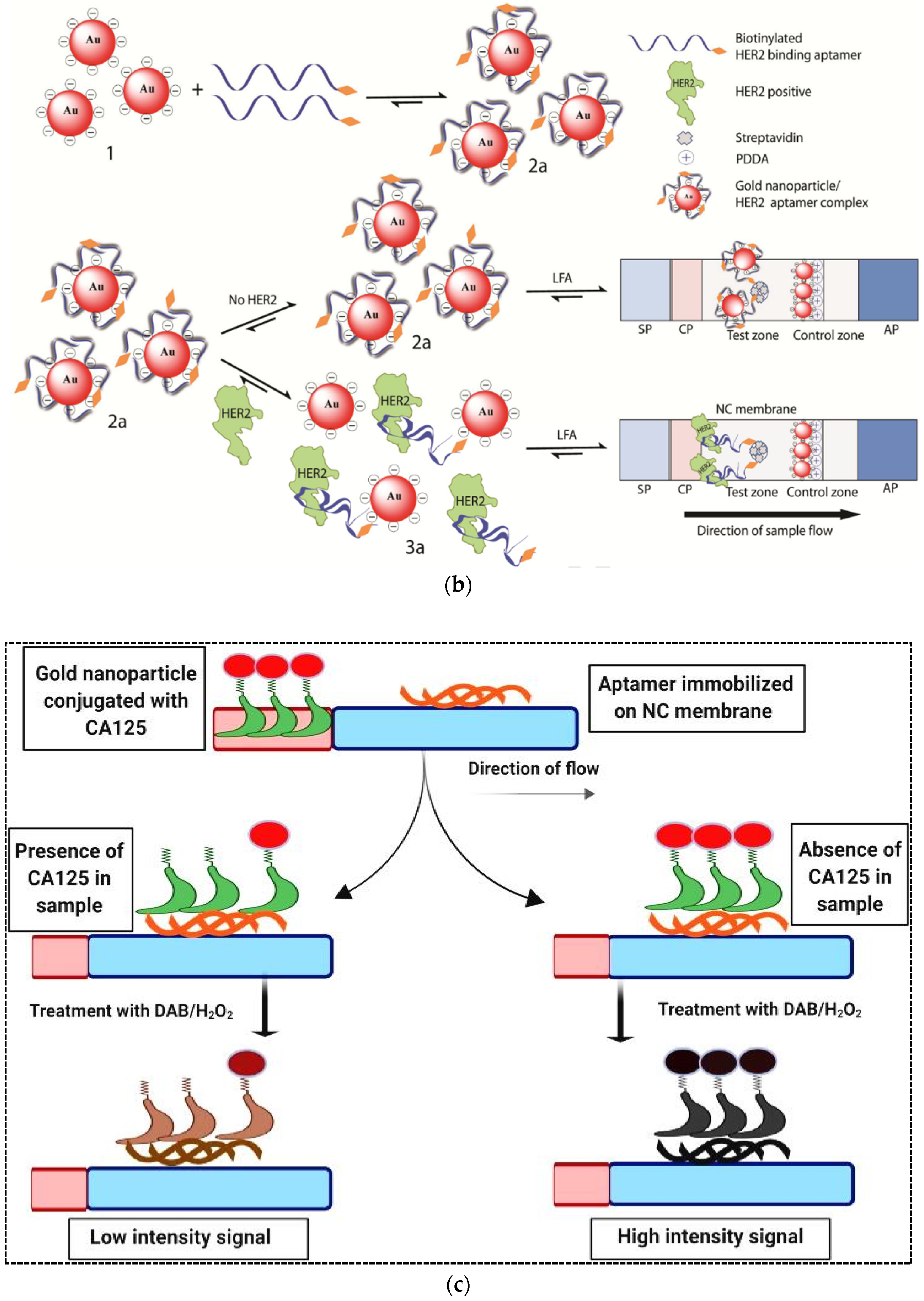 Pharmaceuticals 15 00090 g003b