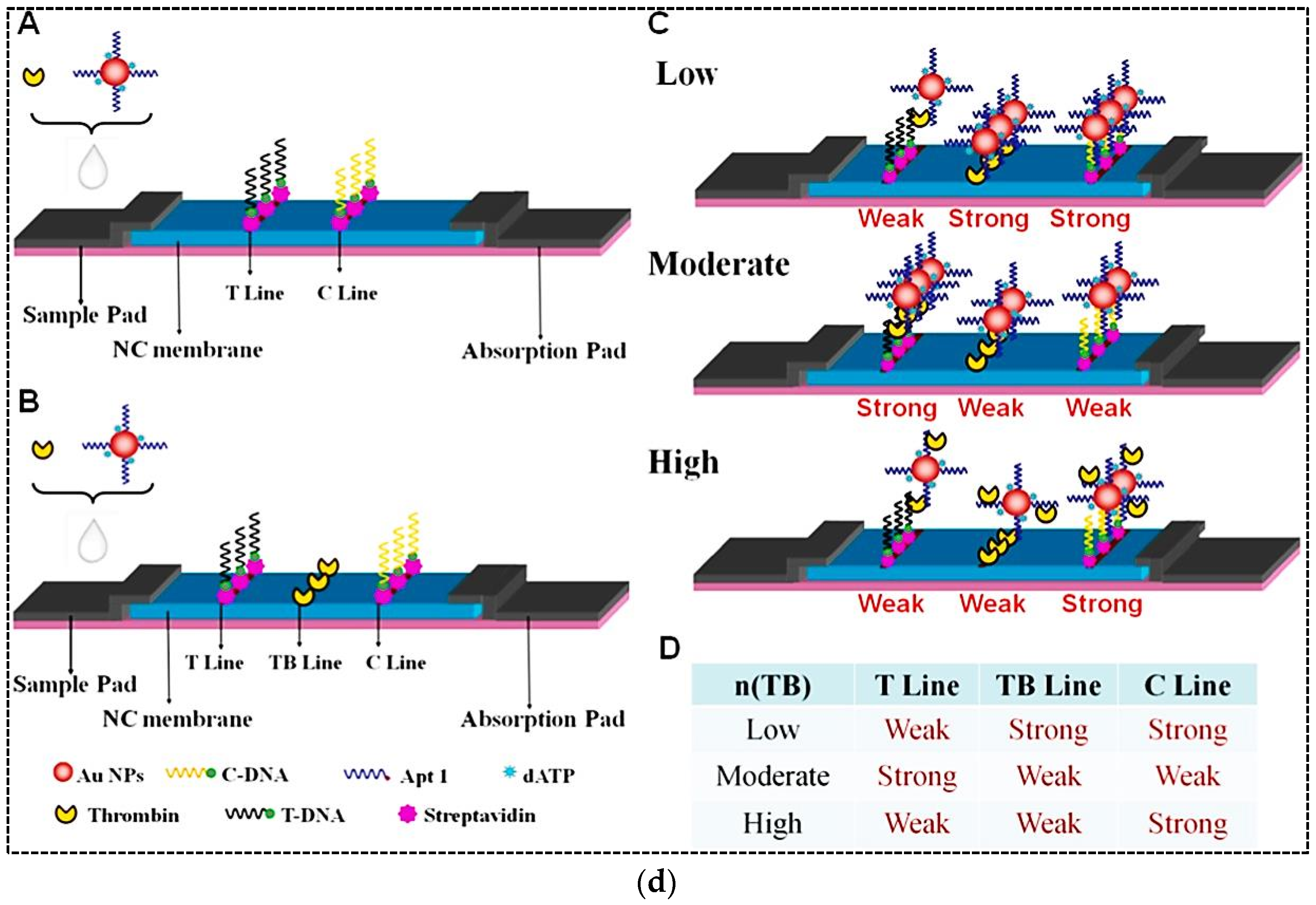 Pharmaceuticals 15 00090 g003c