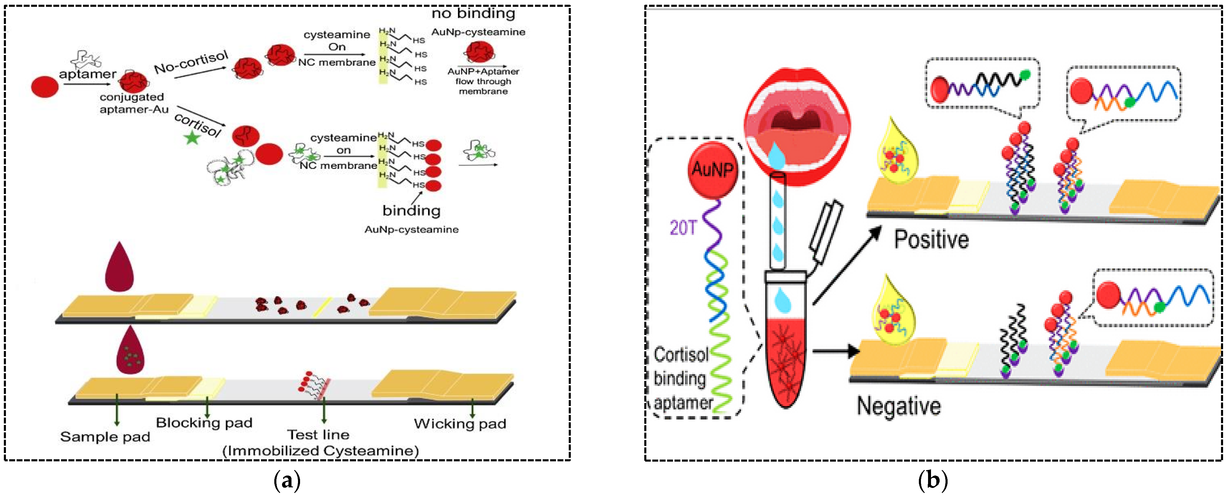 Pharmaceuticals 15 00090 g005