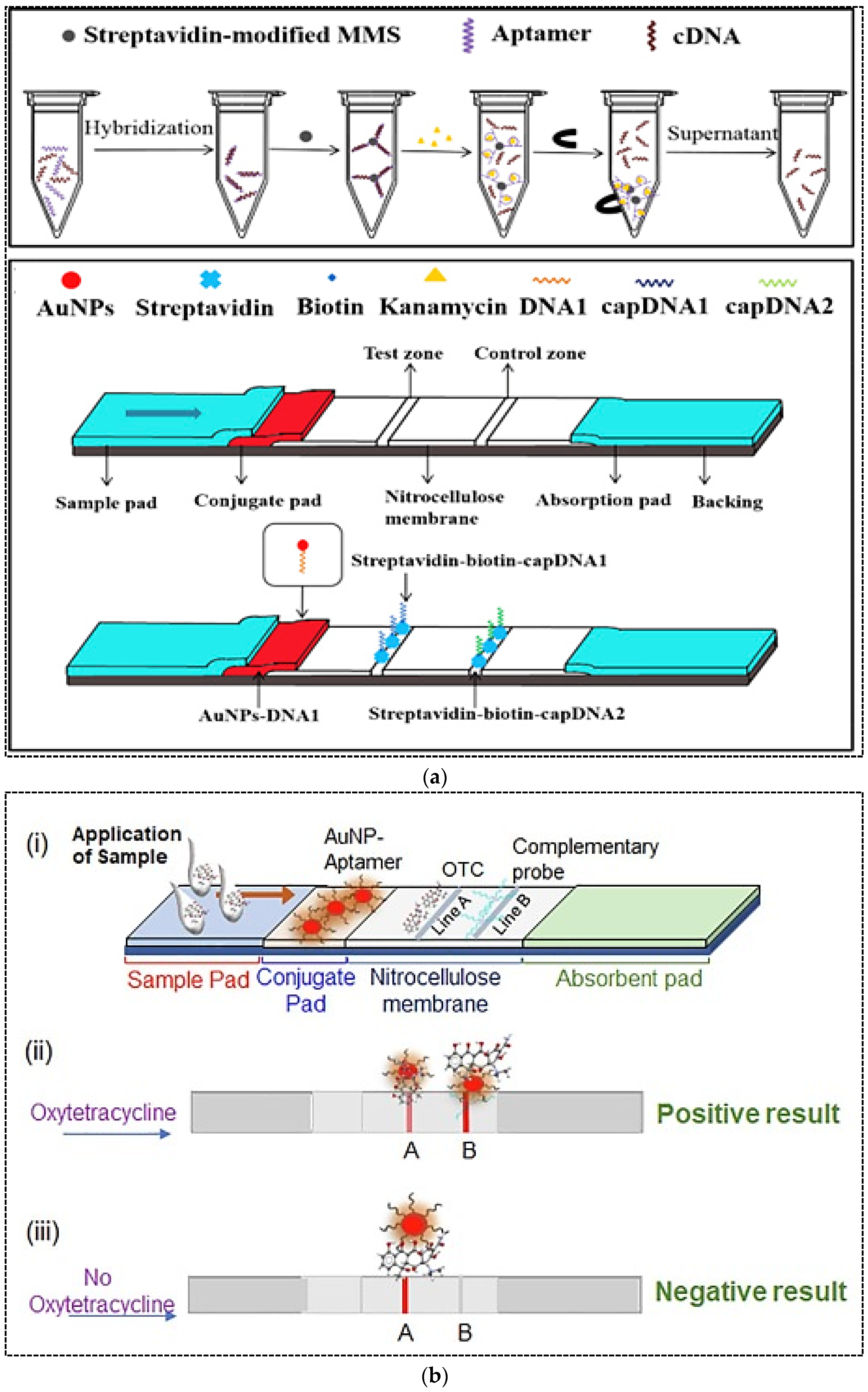 Pharmaceuticals 15 00090 g006a