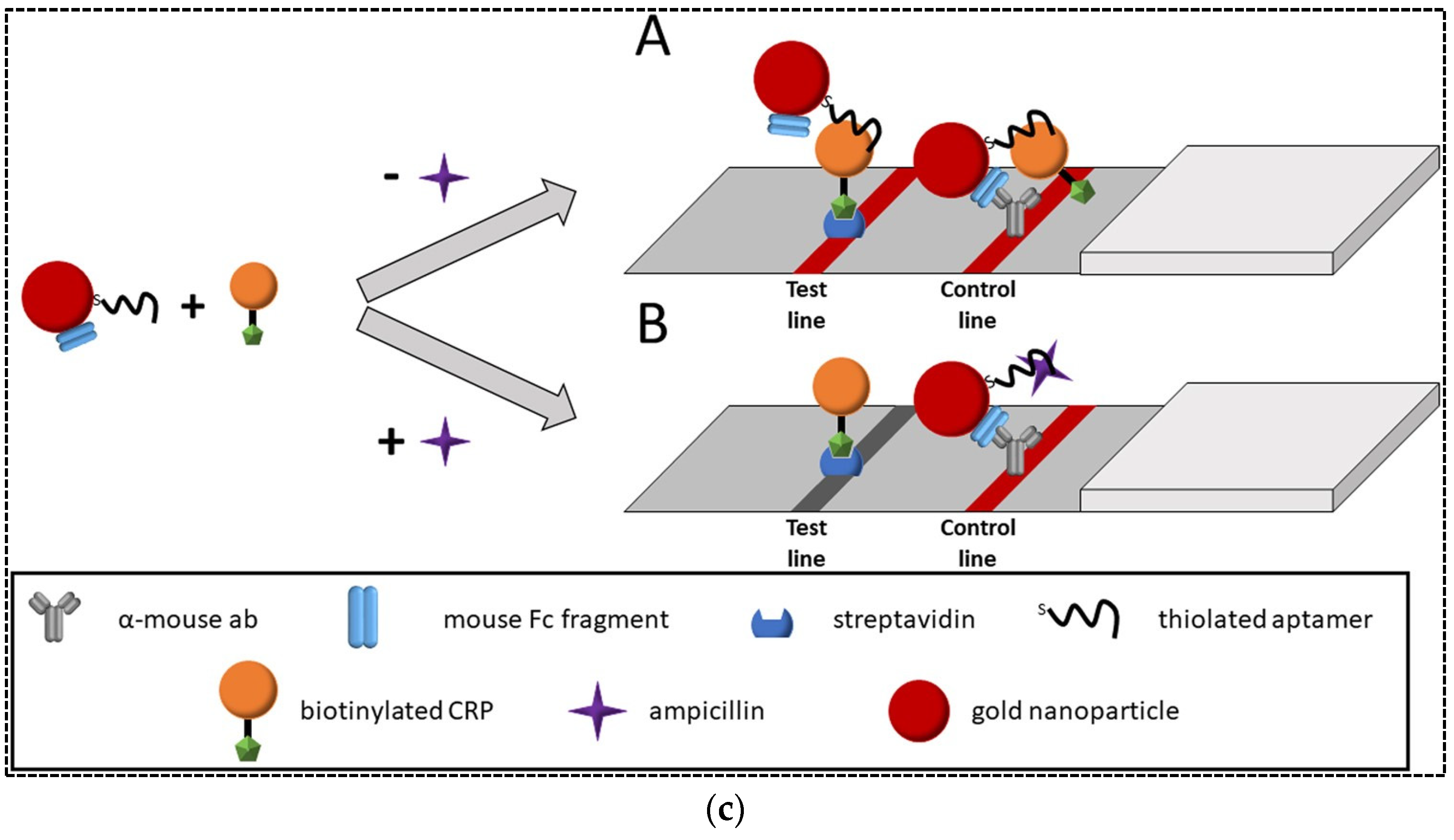Pharmaceuticals 15 00090 g006b