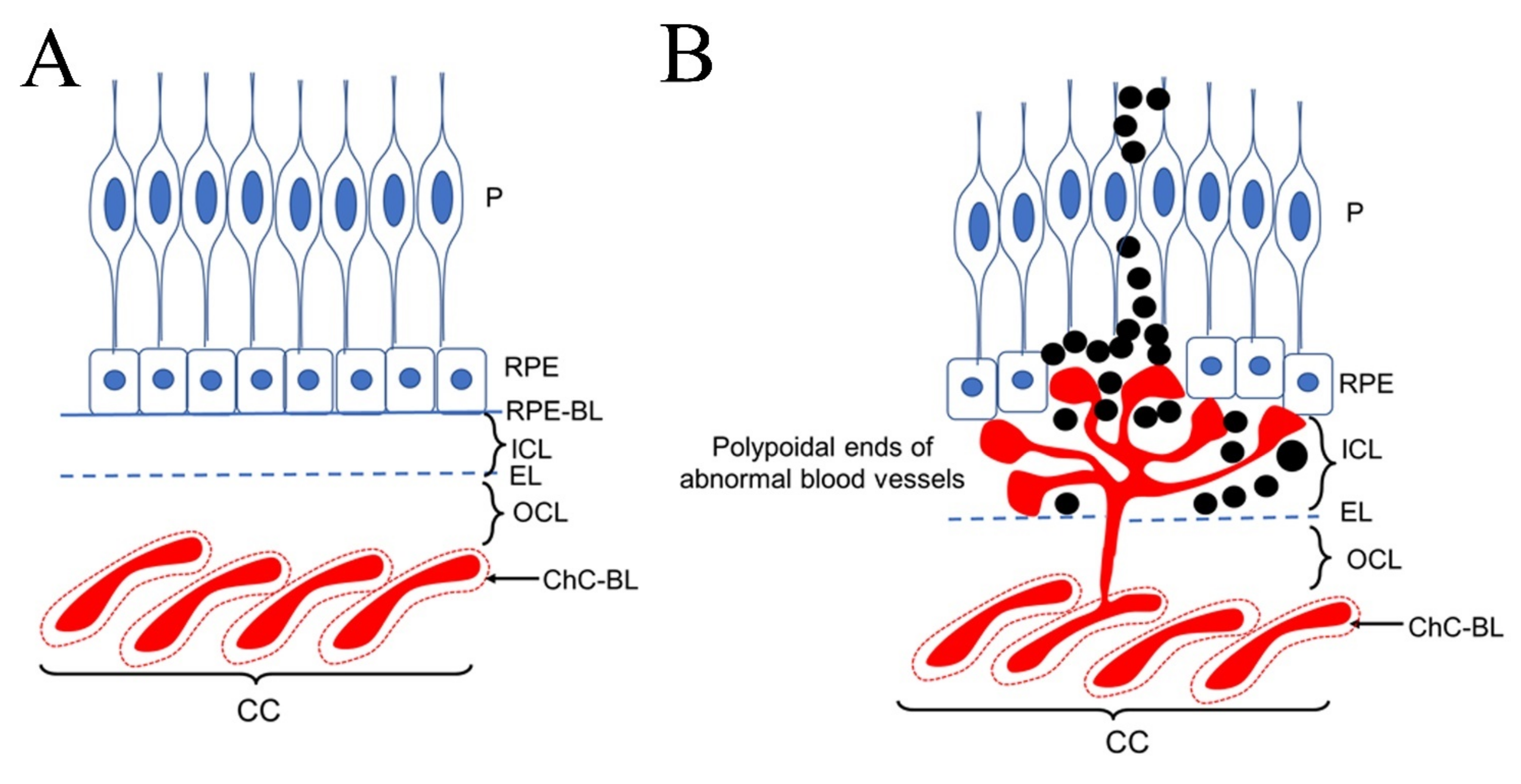 Pharmaceuticals 15 00101 g001 Pharmaceuticals 15 00101 g001