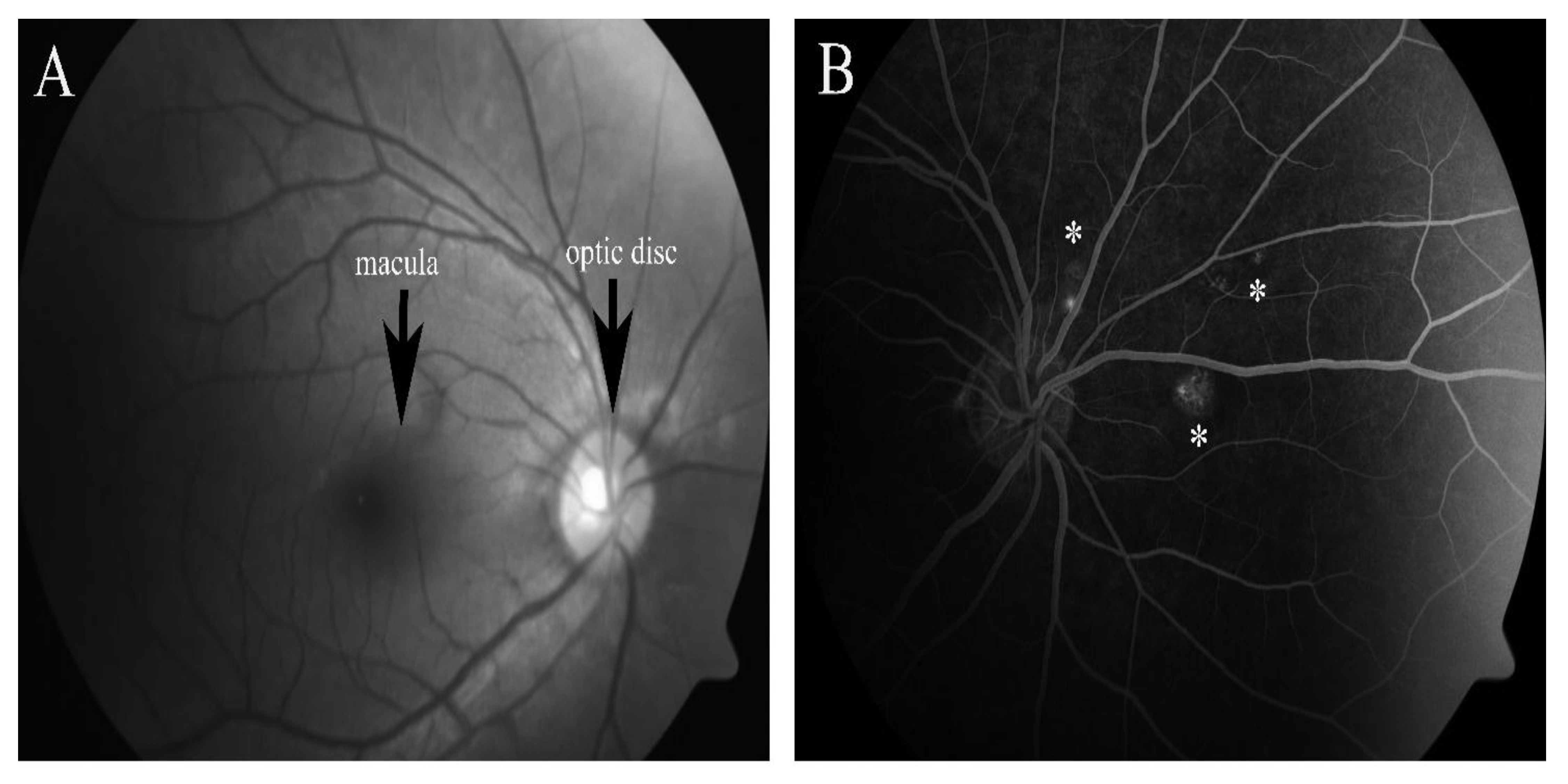 Pharmaceuticals 15 00101 g002 Pharmaceuticals 15 00101 g002