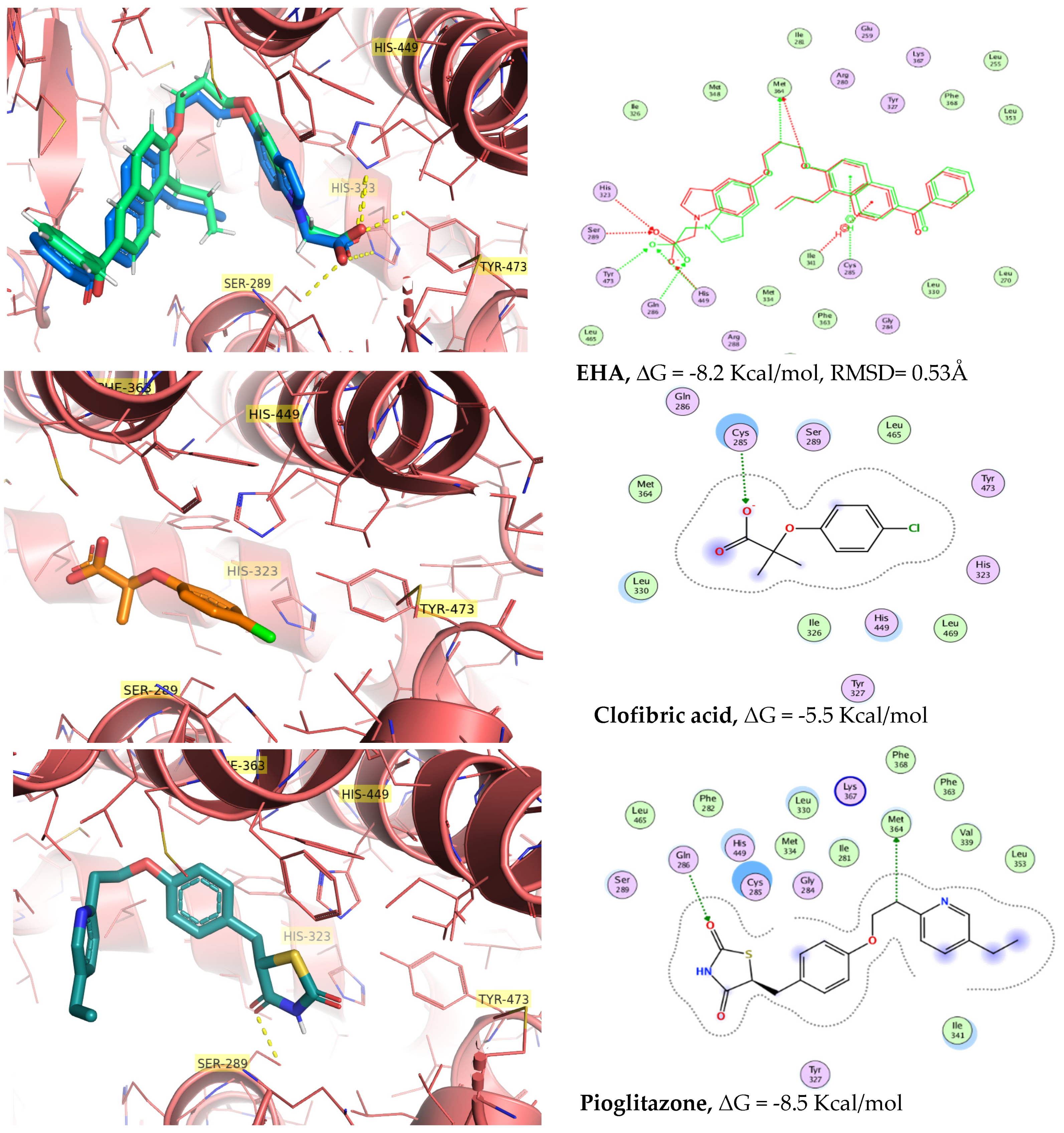Pharmaceuticals 15 00102 g005