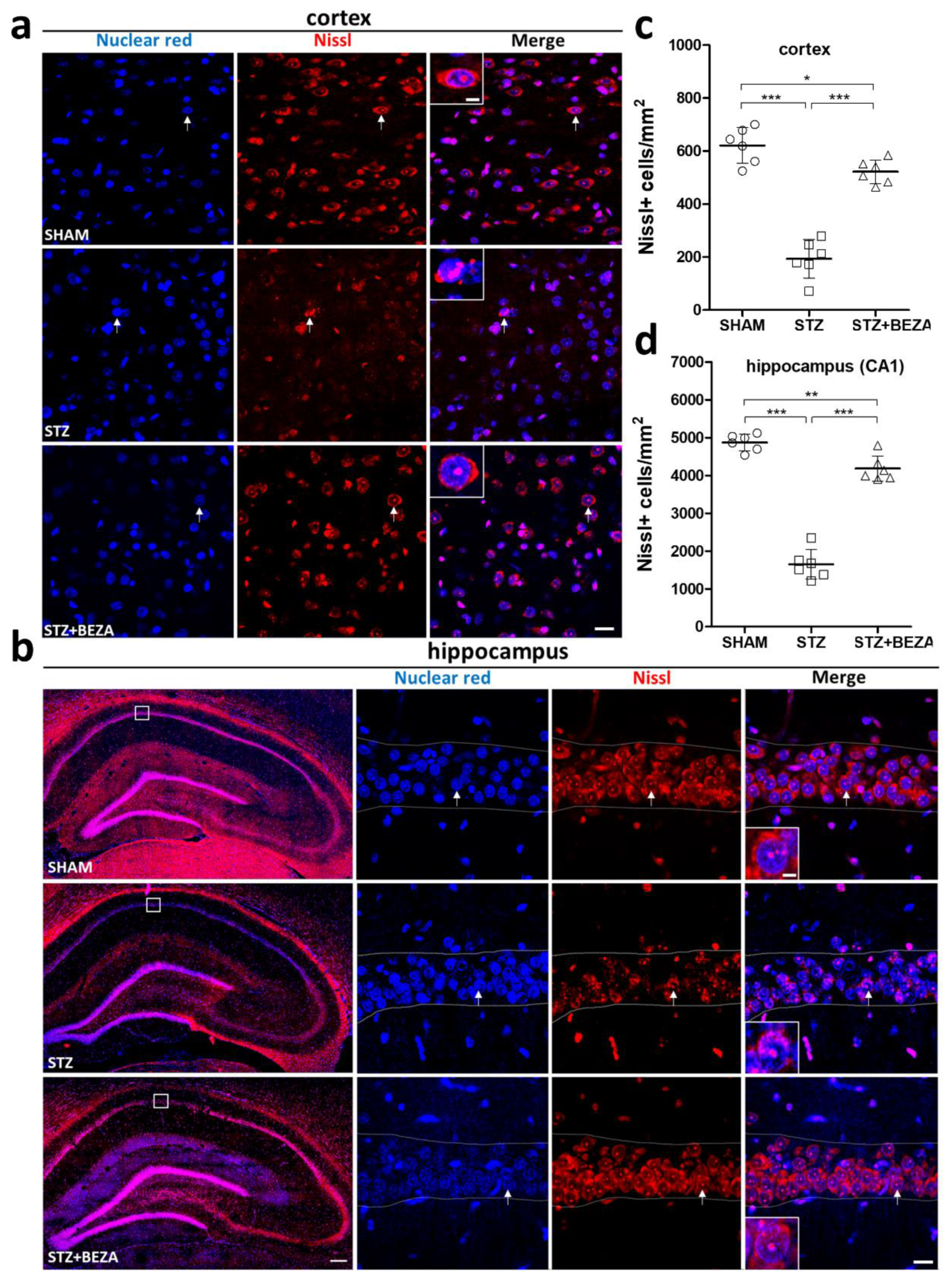 Pharmaceuticals 15 00109 g002