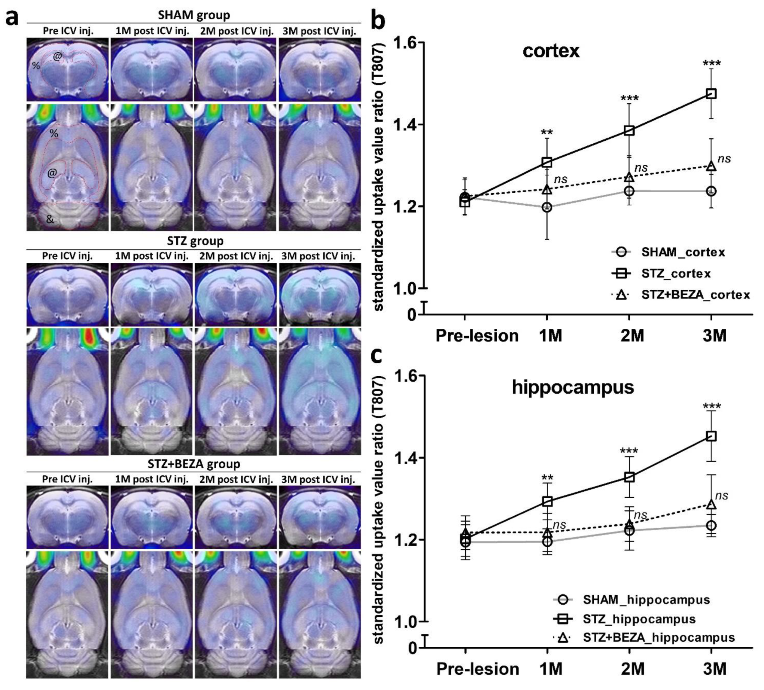 Pharmaceuticals 15 00109 g003