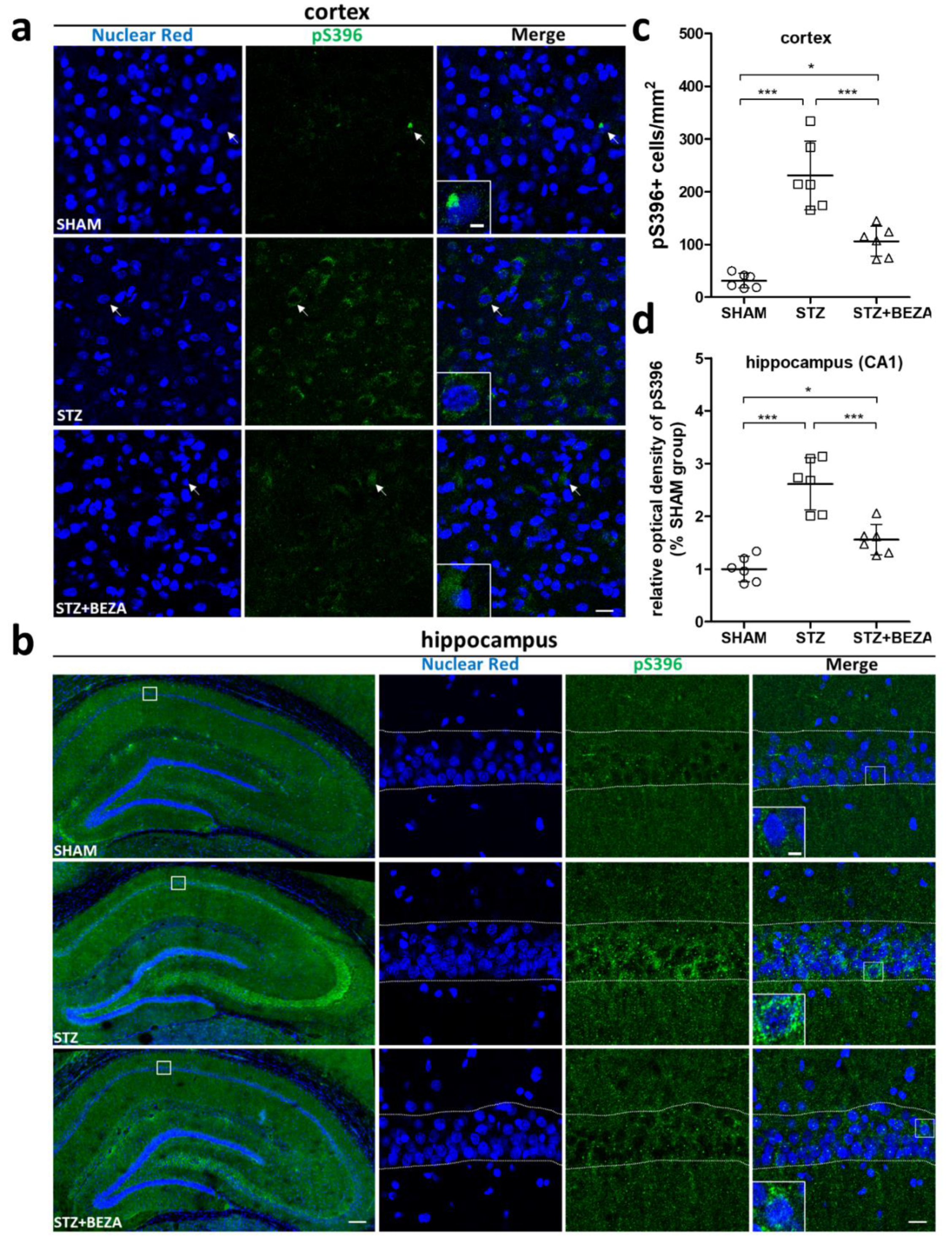 Pharmaceuticals 15 00109 g004
