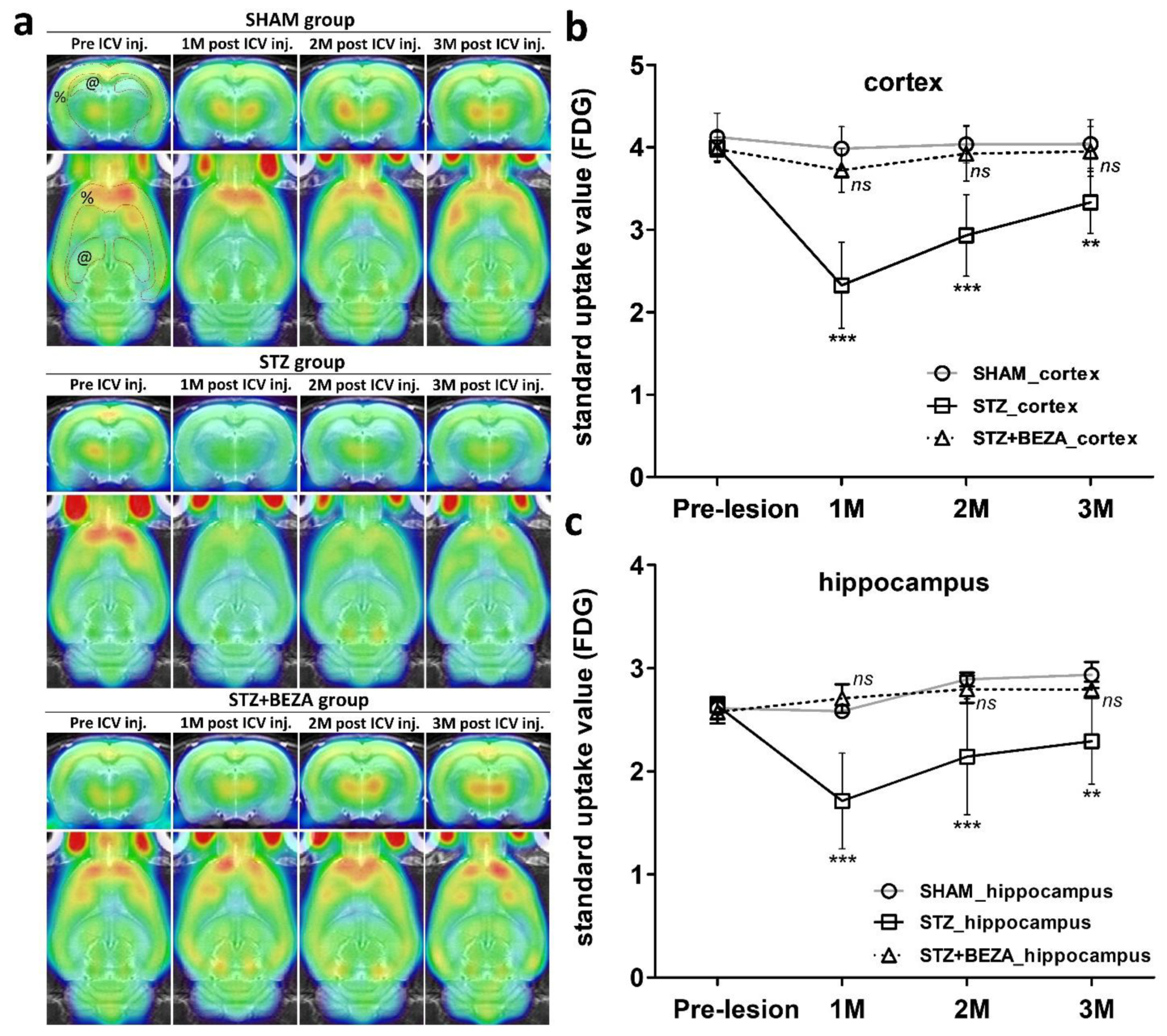 Pharmaceuticals 15 00109 g005