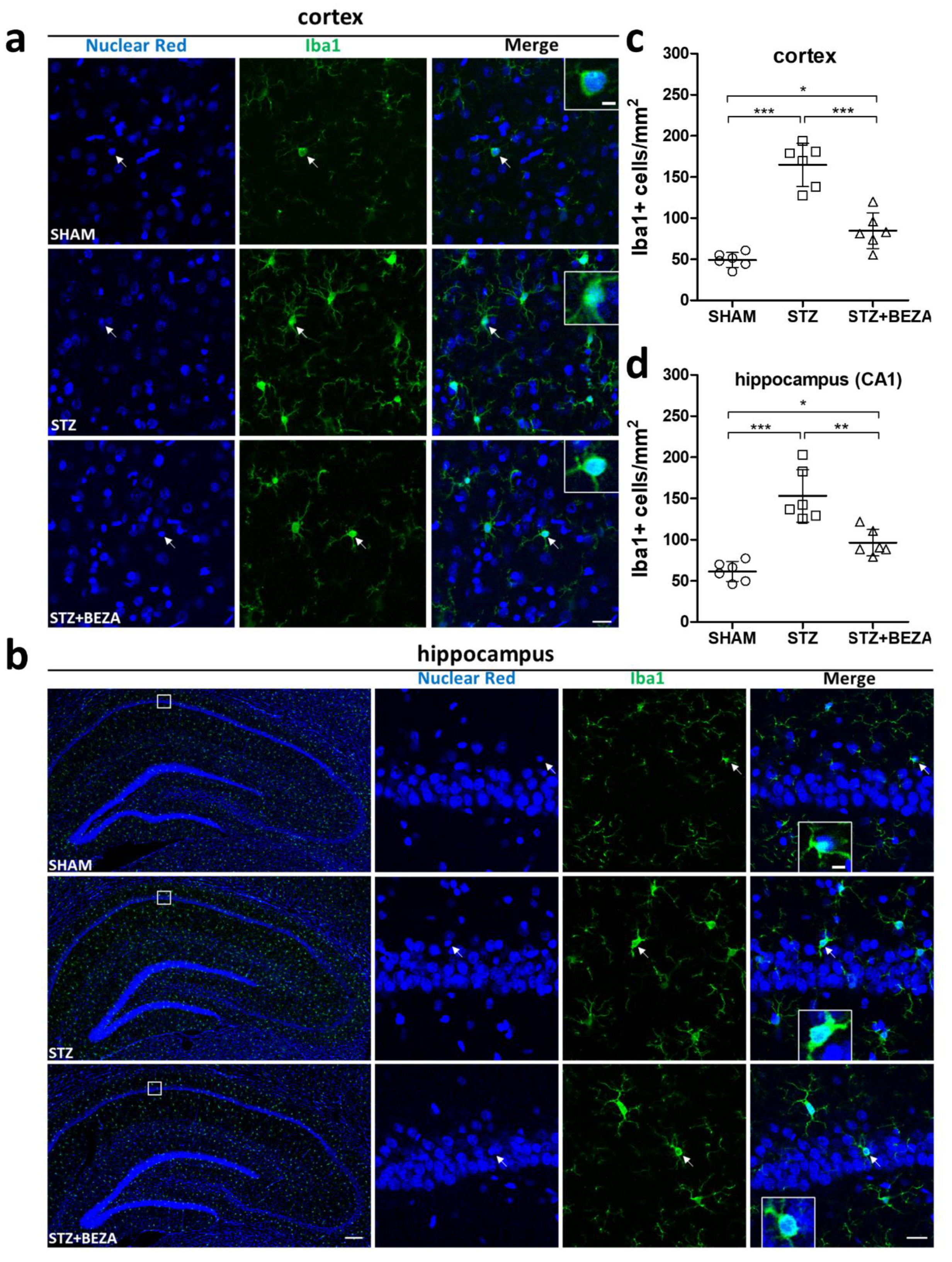 Pharmaceuticals 15 00109 g006