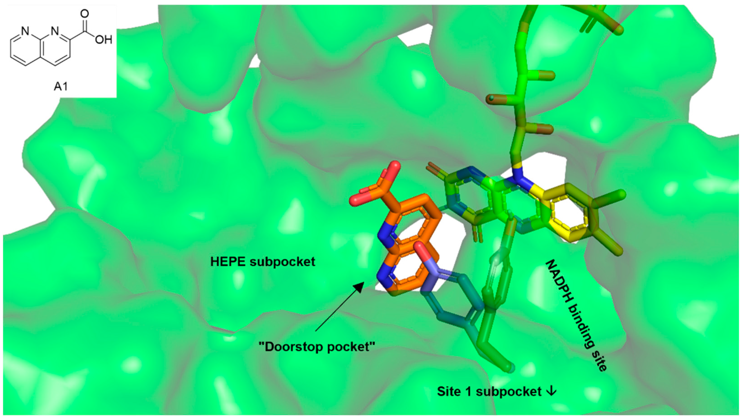Pharmaceuticals 15 00119 g002