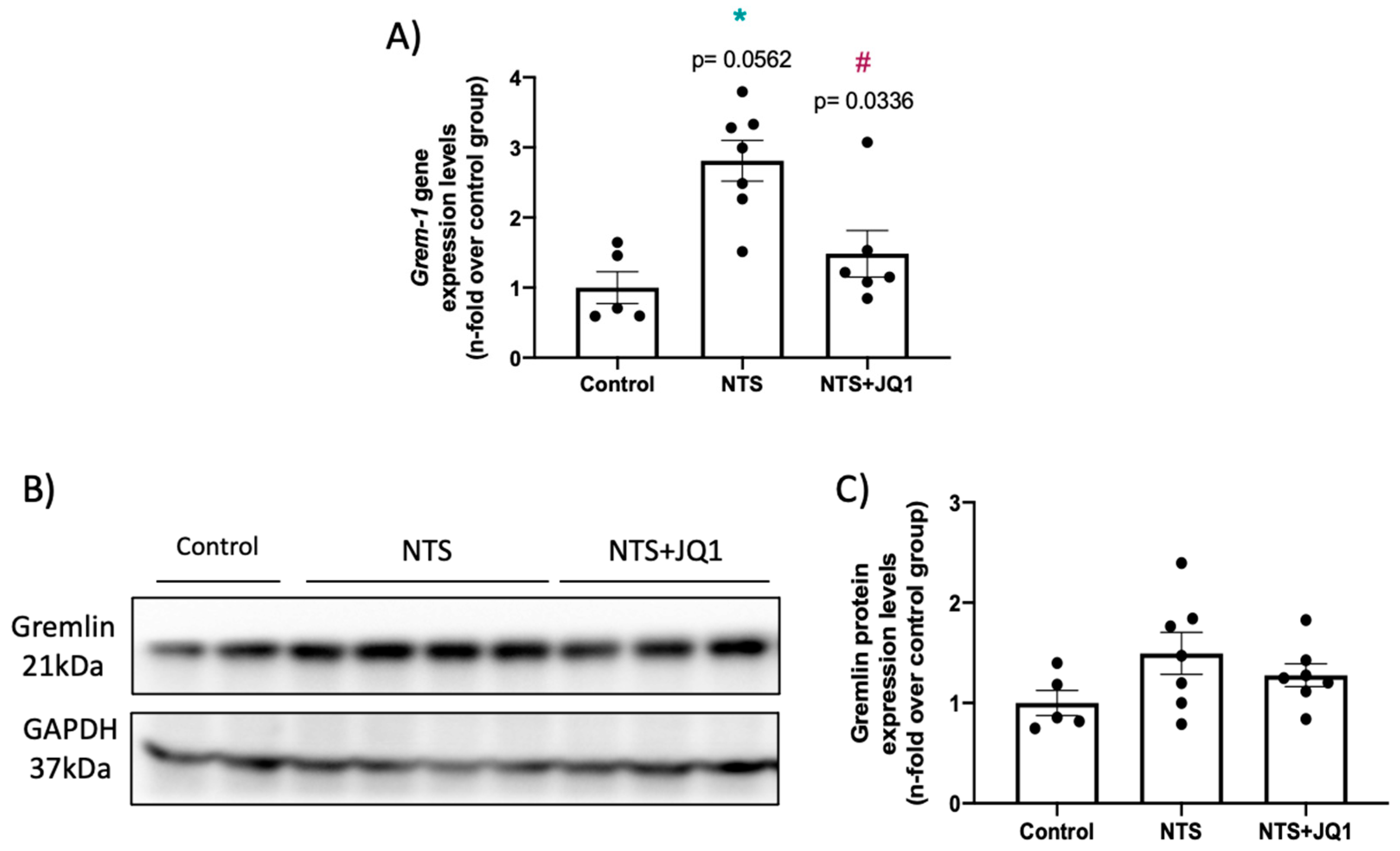 Pharmaceuticals 15 00121 g002 Pharmaceuticals 15 00121 g002