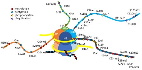 Pharmaceuticals 15 00123 g003