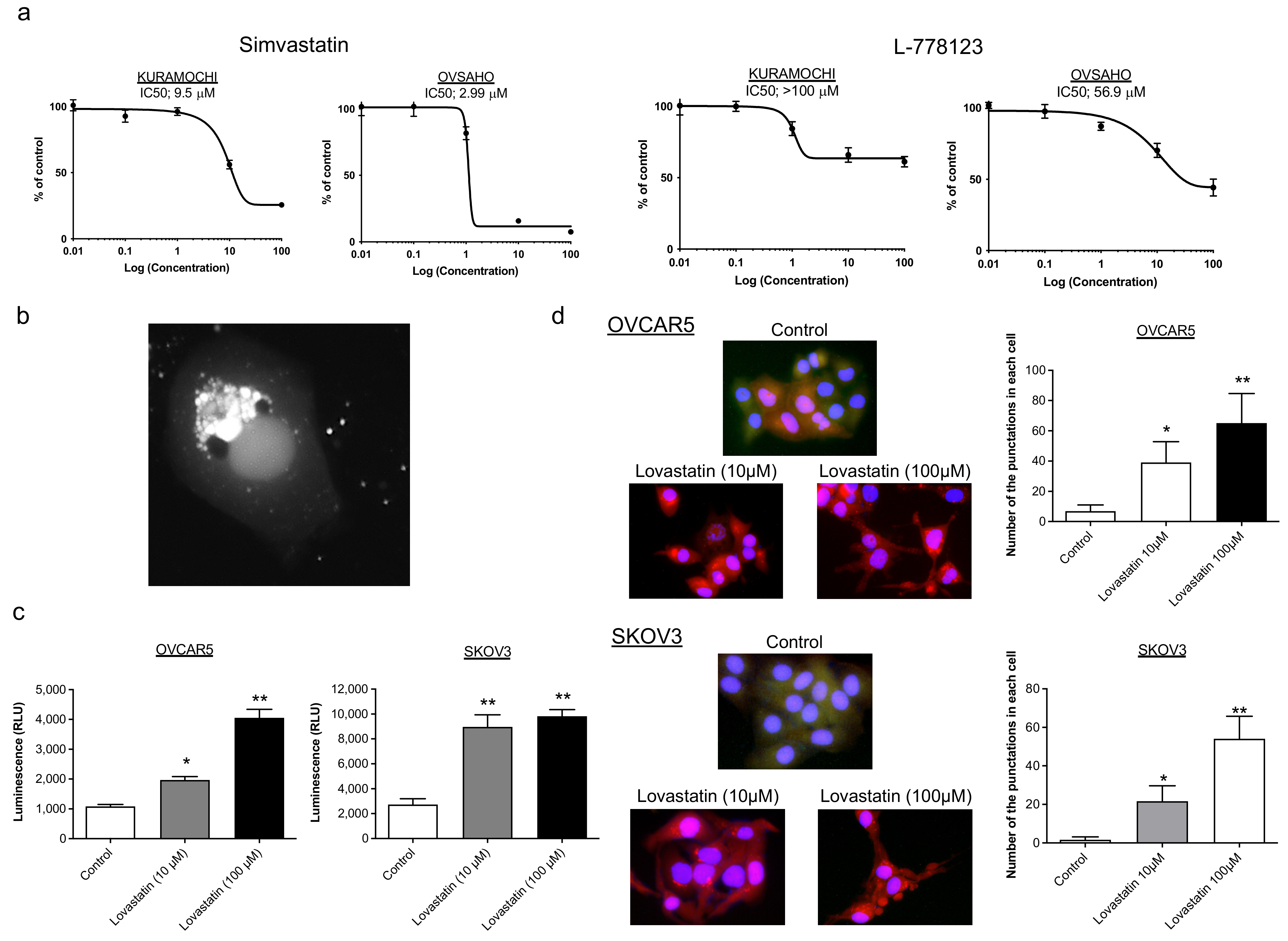 Pharmaceuticals 15 00124 g001
