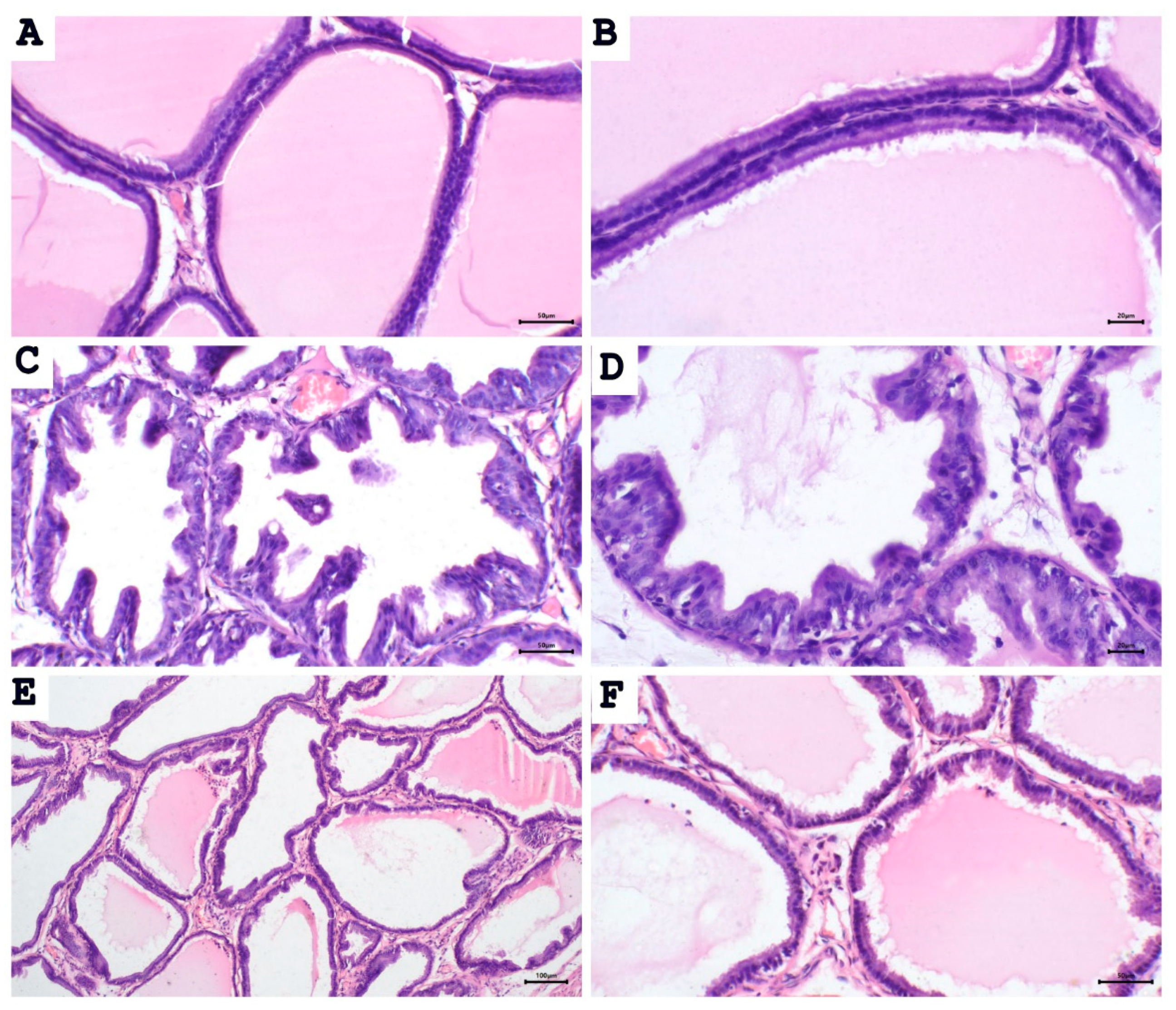 Pharmaceuticals 15 00130 g002