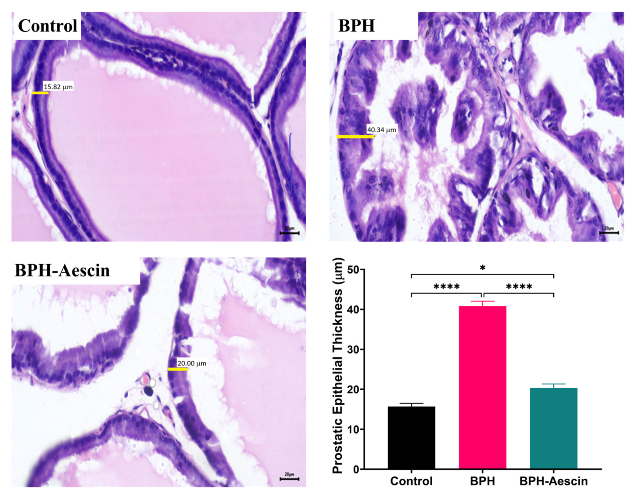 Pharmaceuticals 15 00130 g003