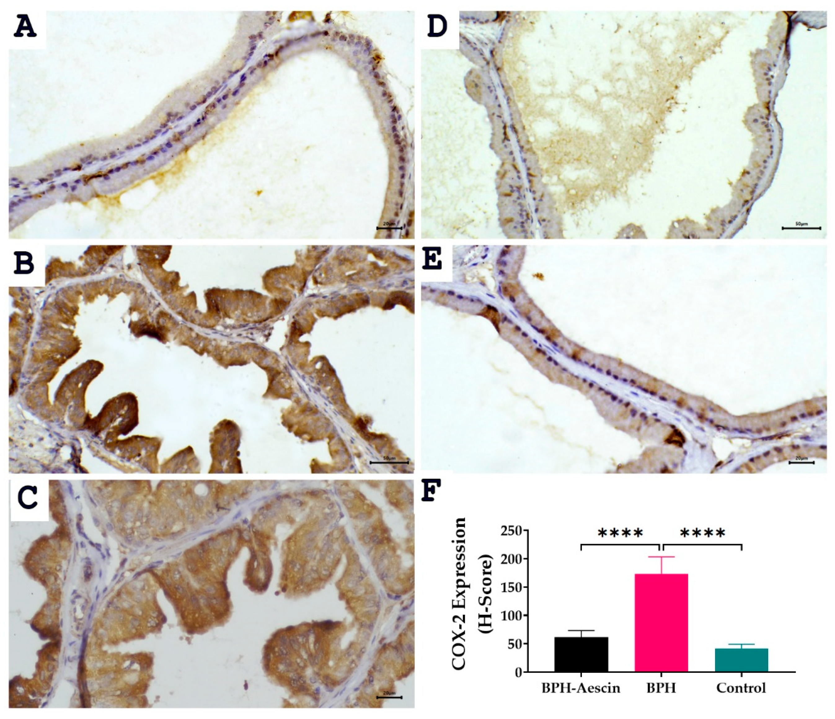 Pharmaceuticals 15 00130 g007