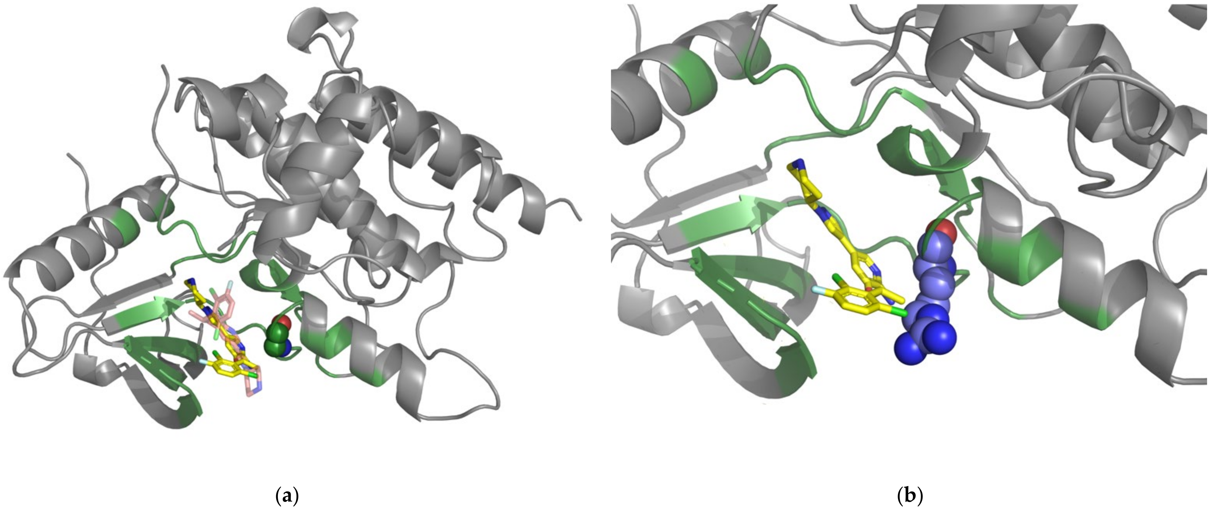 Pharmaceuticals 15 00136 g003 Pharmaceuticals 15 00136 g003