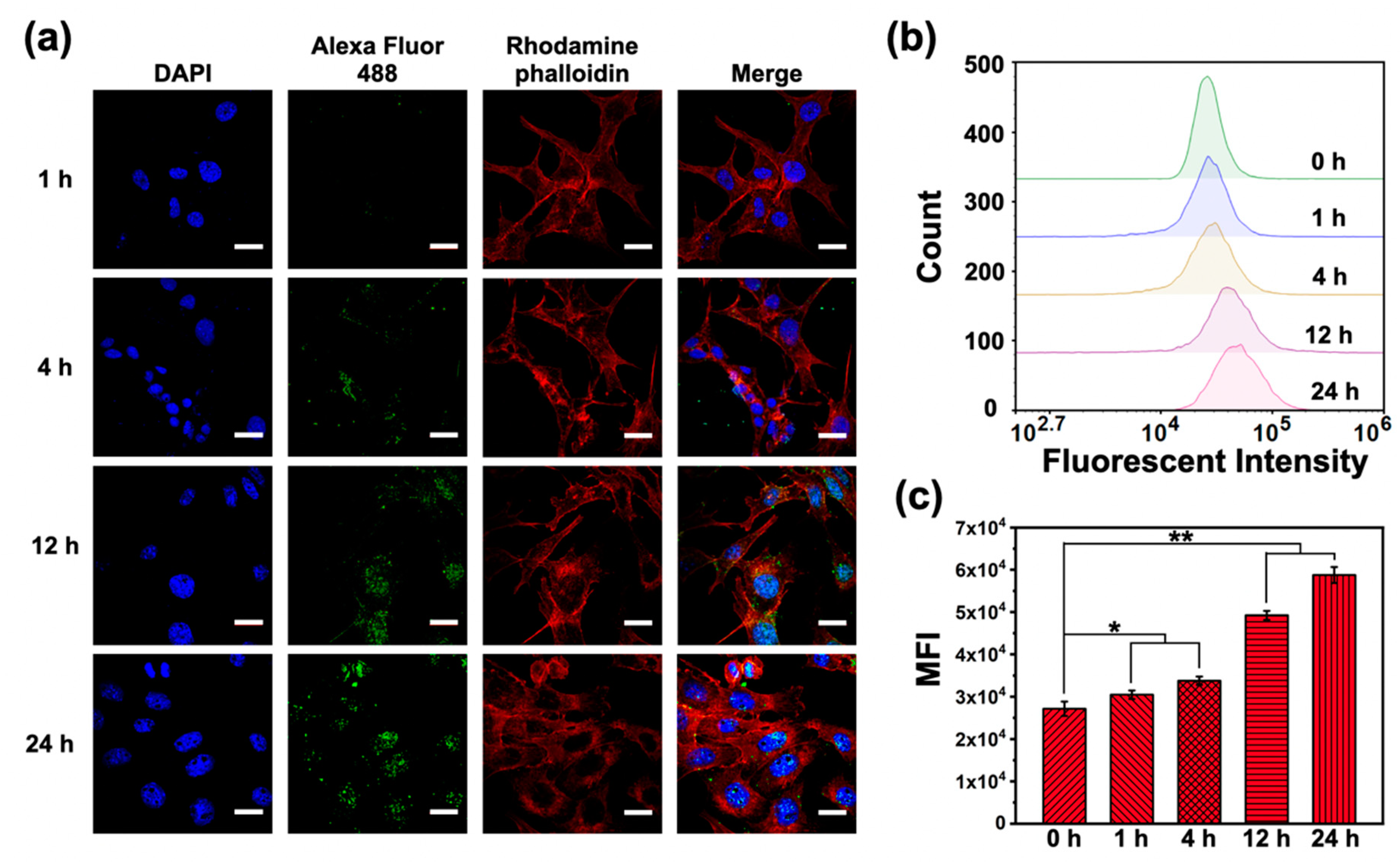 Pharmaceuticals 15 00138 g004