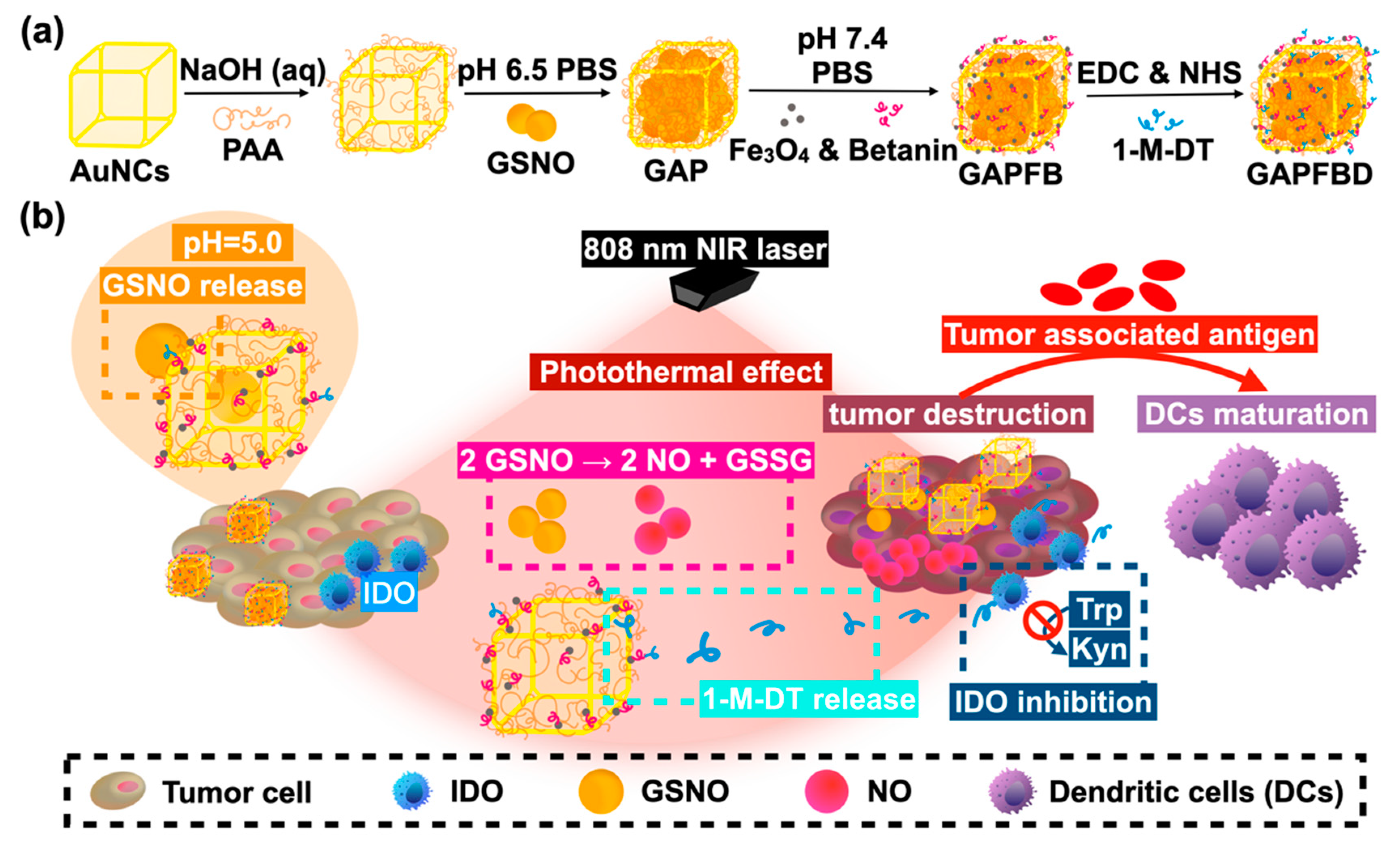 Pharmaceuticals 15 00138 sch001