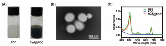 Pharmaceuticals 15 00156 g003 550