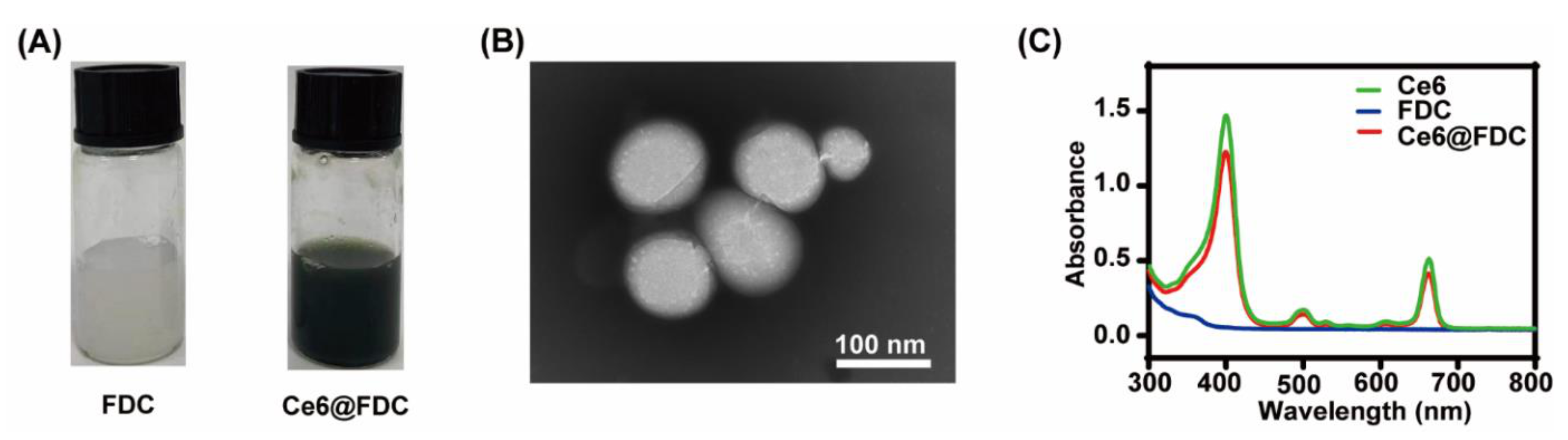 Pharmaceuticals 15 00156 g003