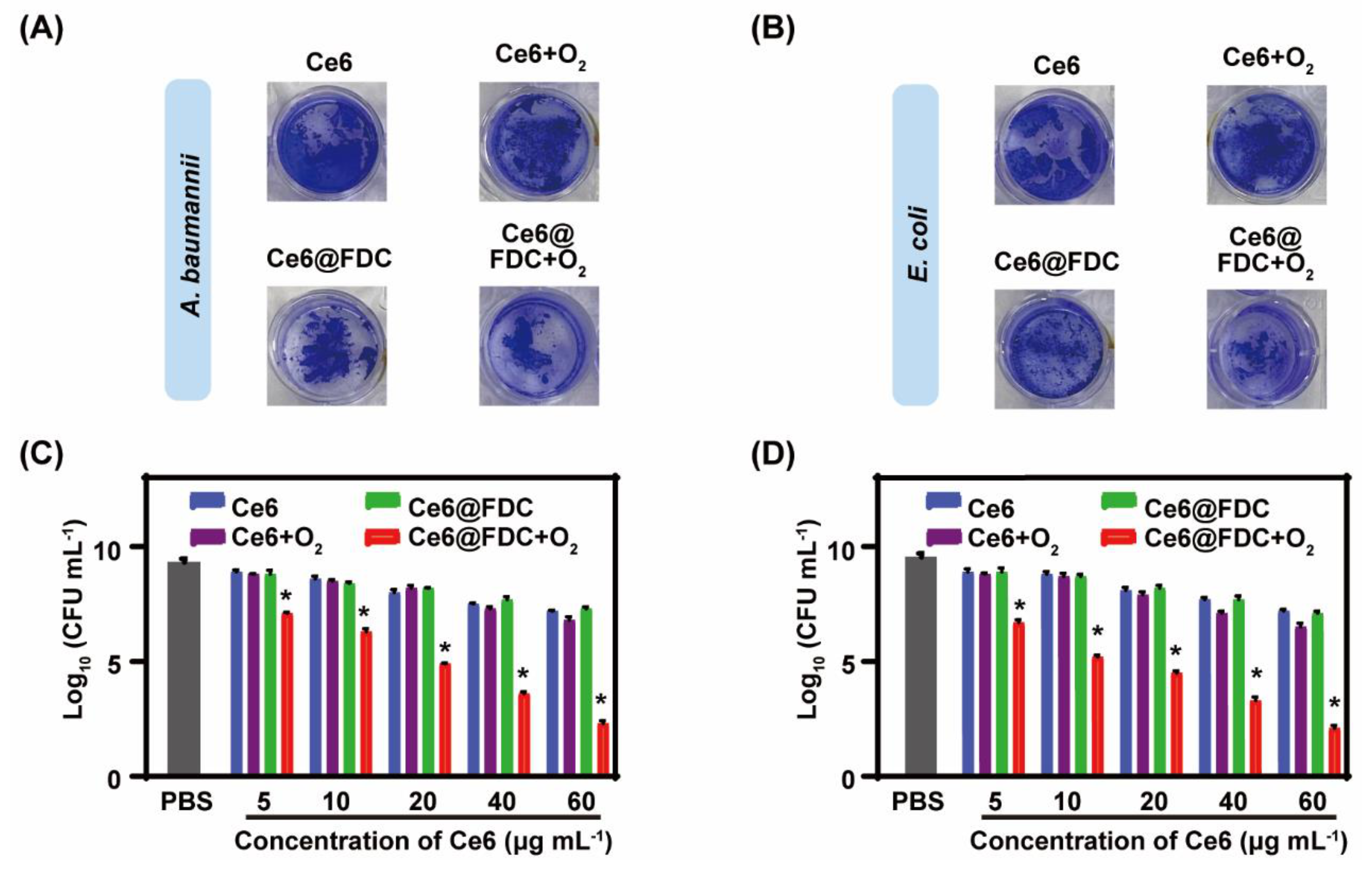 Pharmaceuticals 15 00156 g008