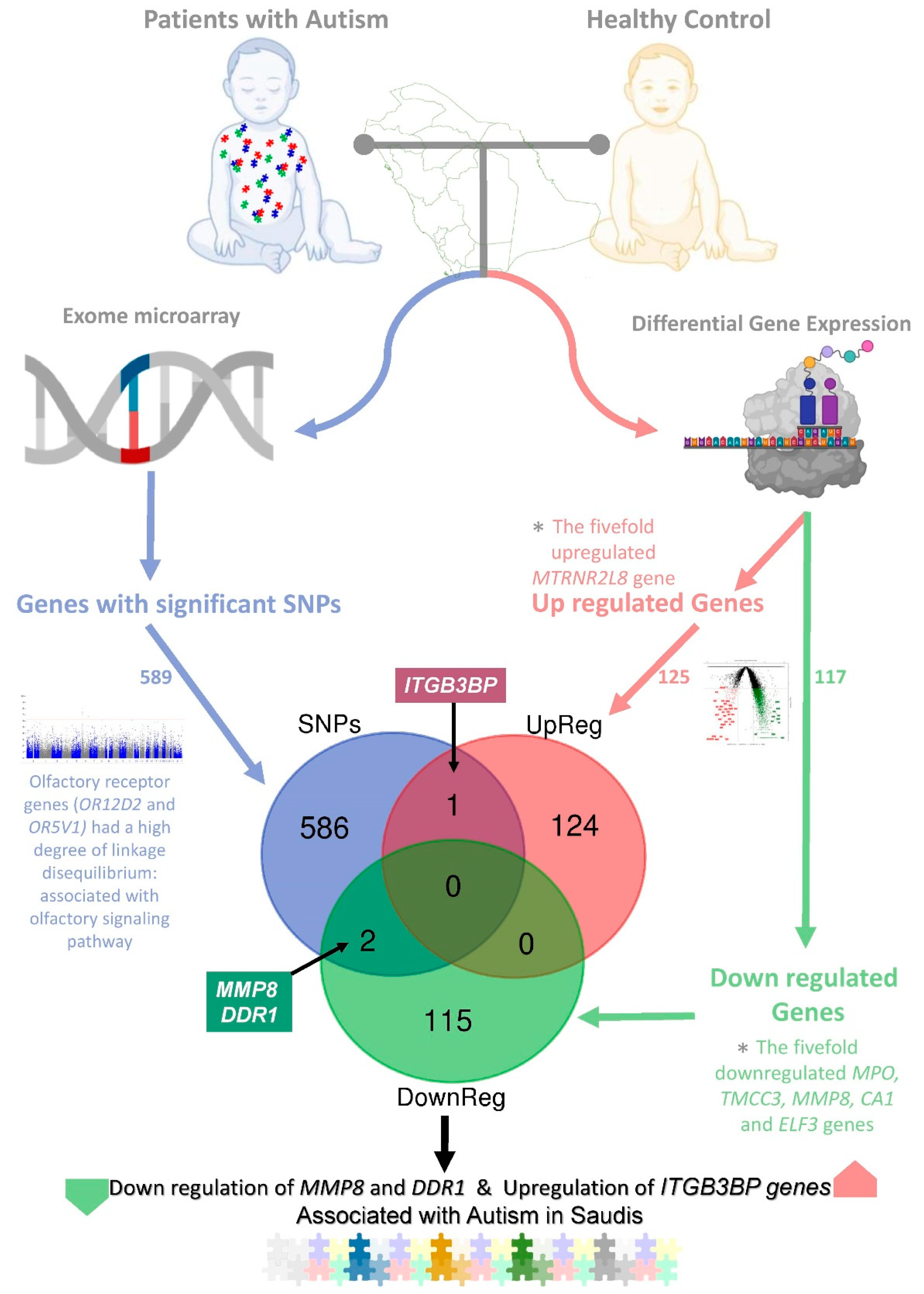 Pharmaceuticals 15 00158 g001
