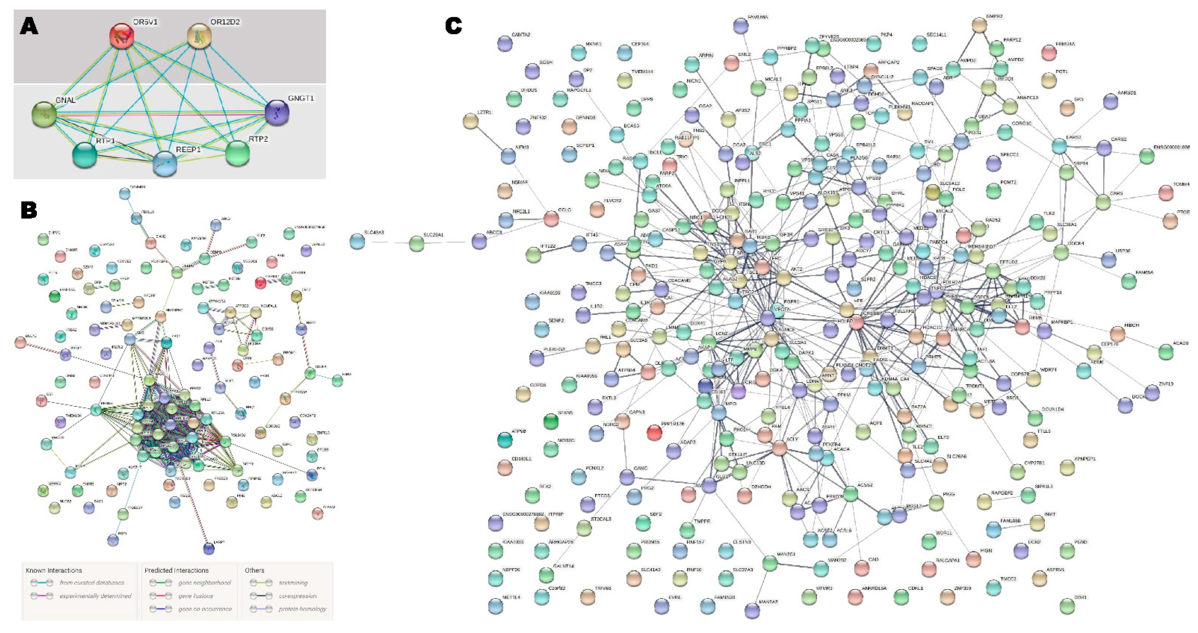 Pharmaceuticals 15 00158 g004