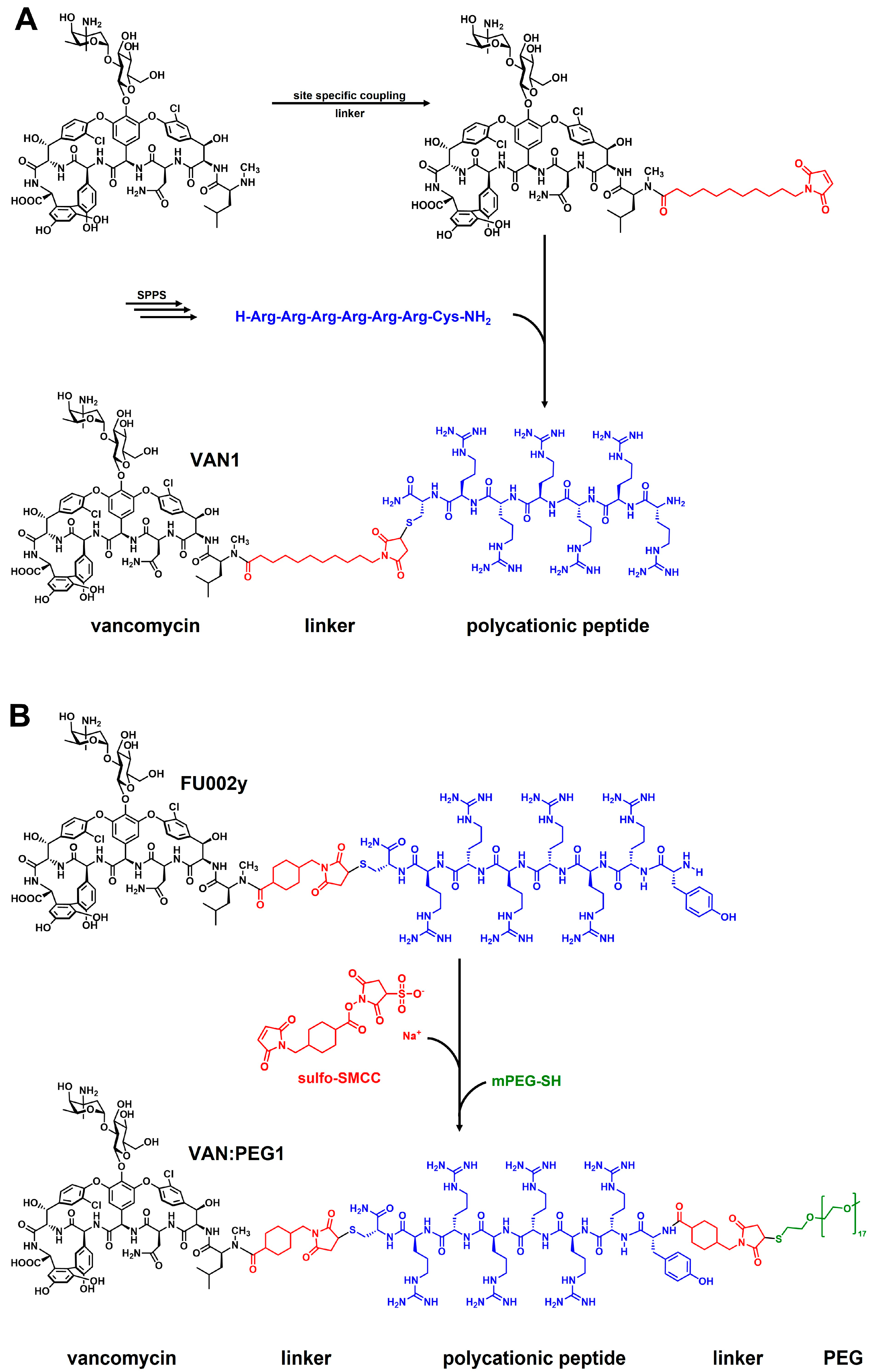 Pharmaceuticals 15 00159 g001