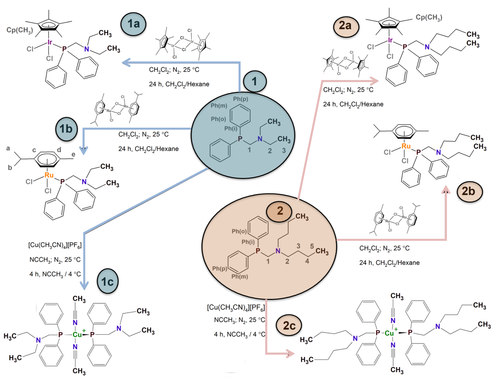 Pharmaceuticals 15 00169 sch003