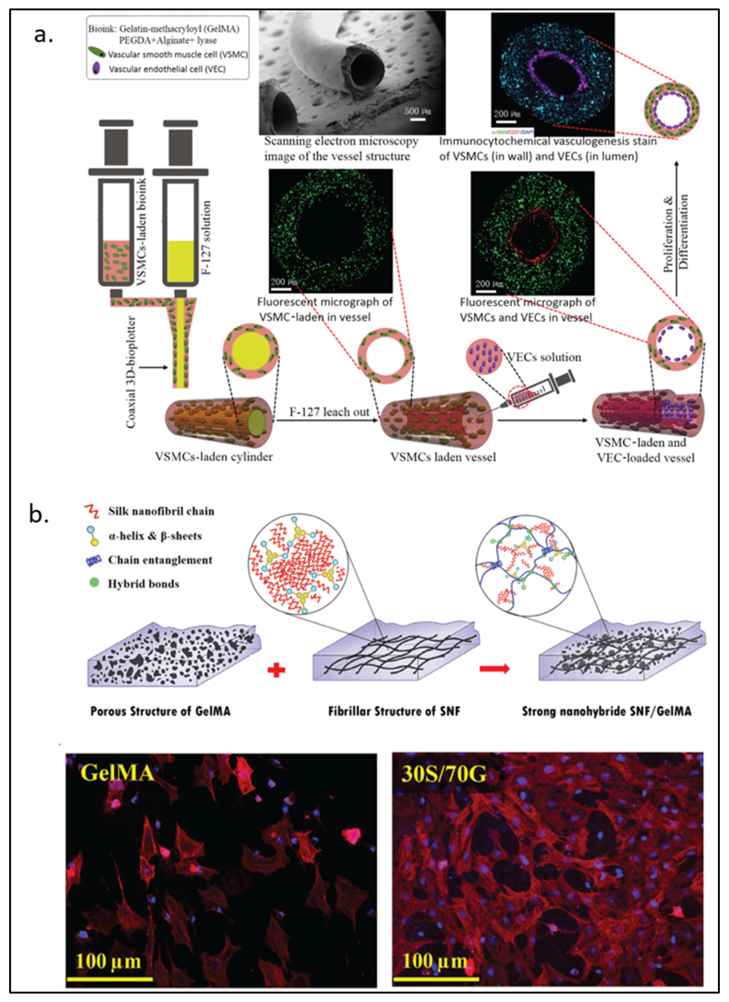 Pharmaceuticals 15 00171 g005 Pharmaceuticals 15 00171 g005