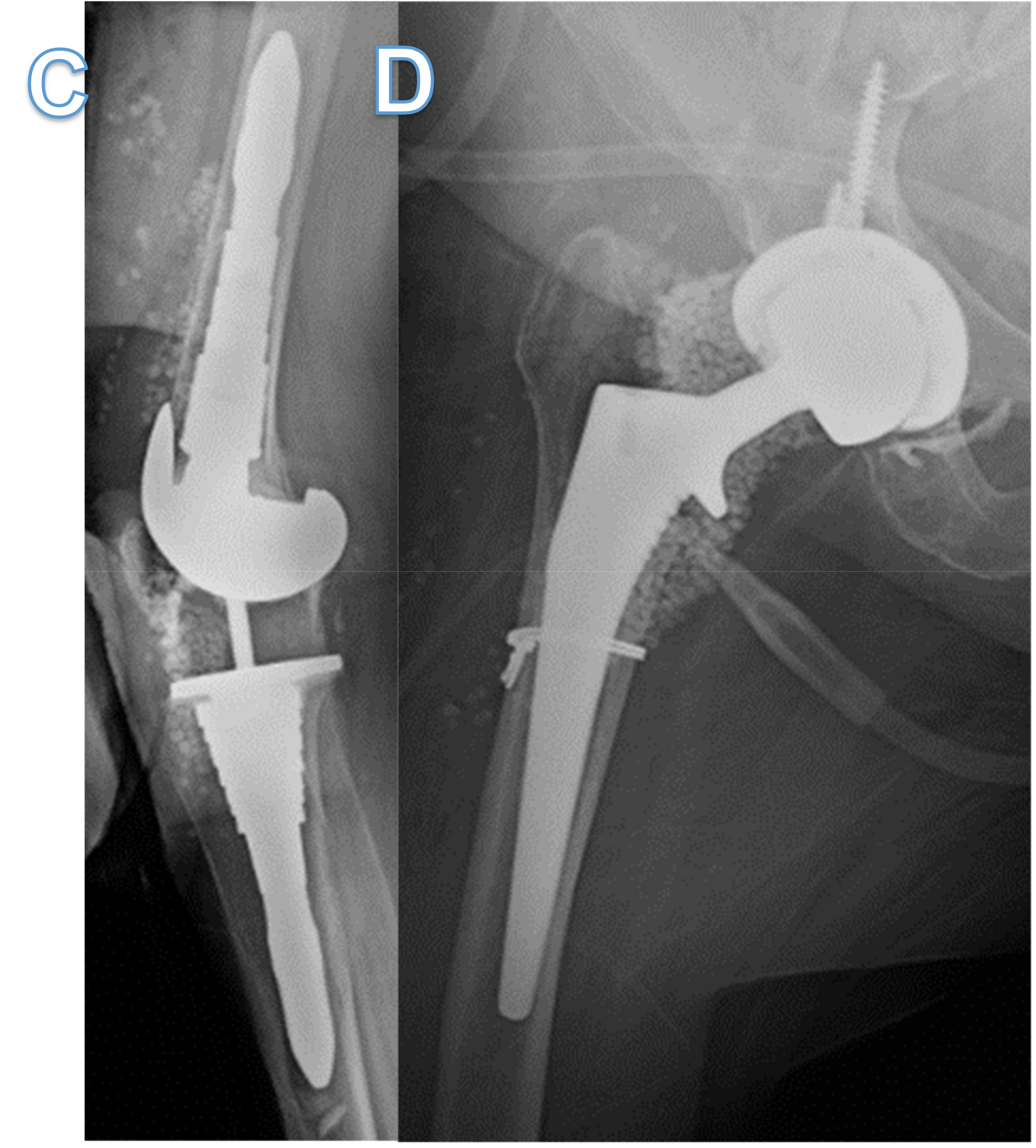 Pharmaceuticals 15 00177 g001b