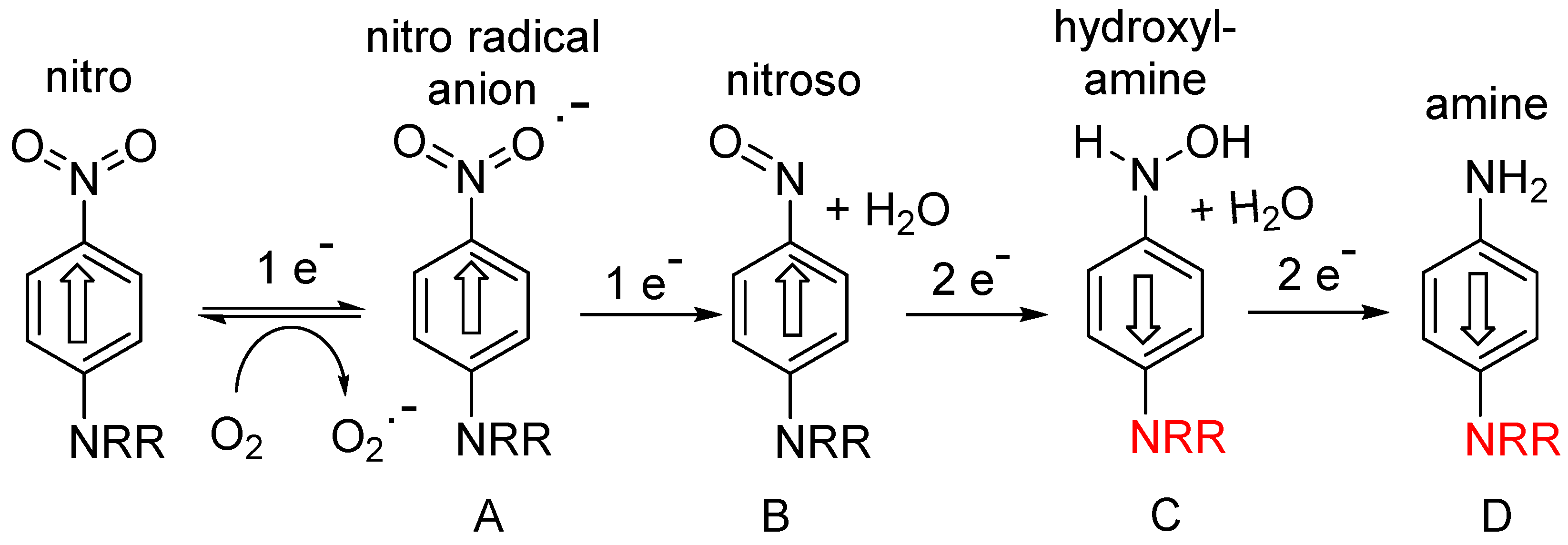 Pharmaceuticals 15 00187 g001
