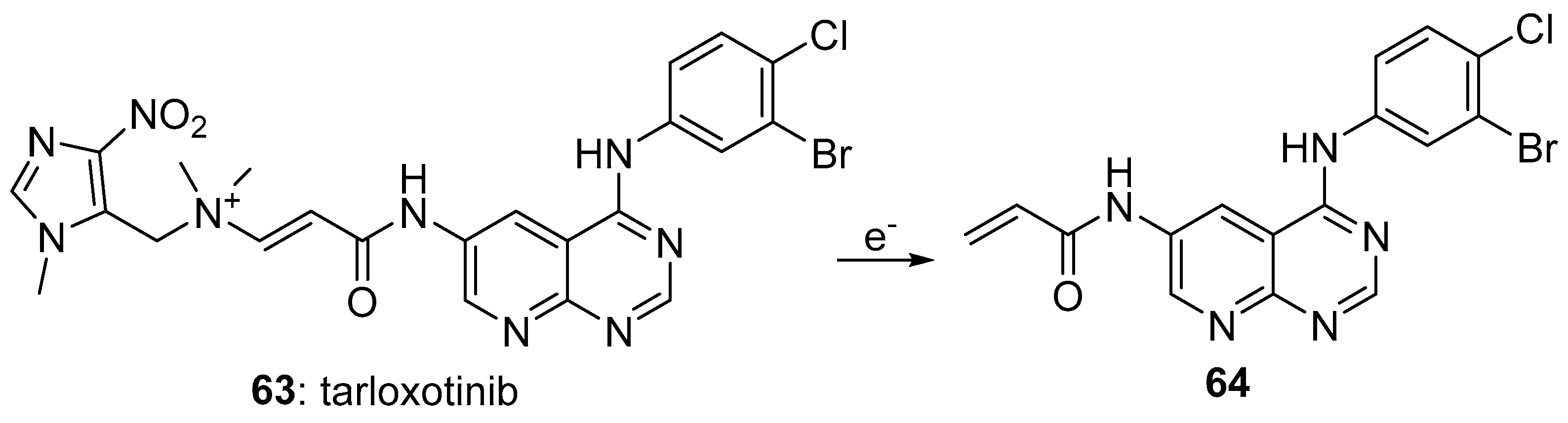 Pharmaceuticals 15 00187 g012