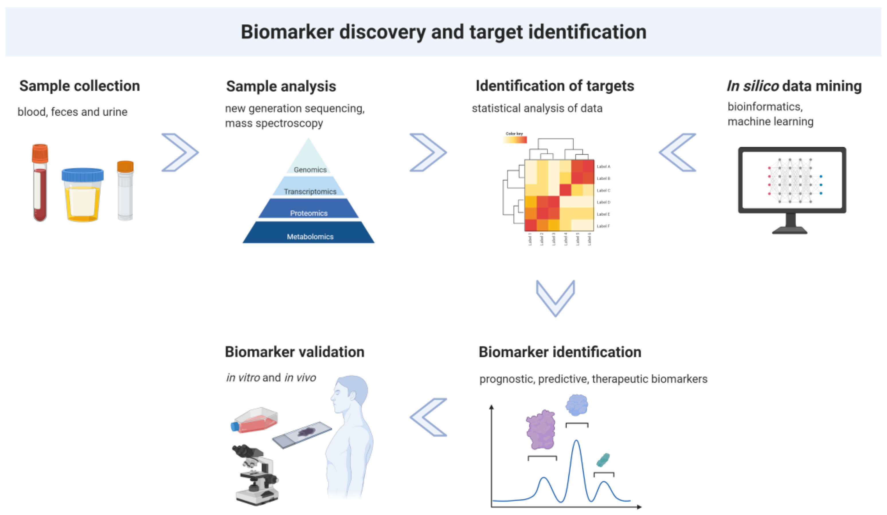 Pharmaceuticals 15 00227 g001