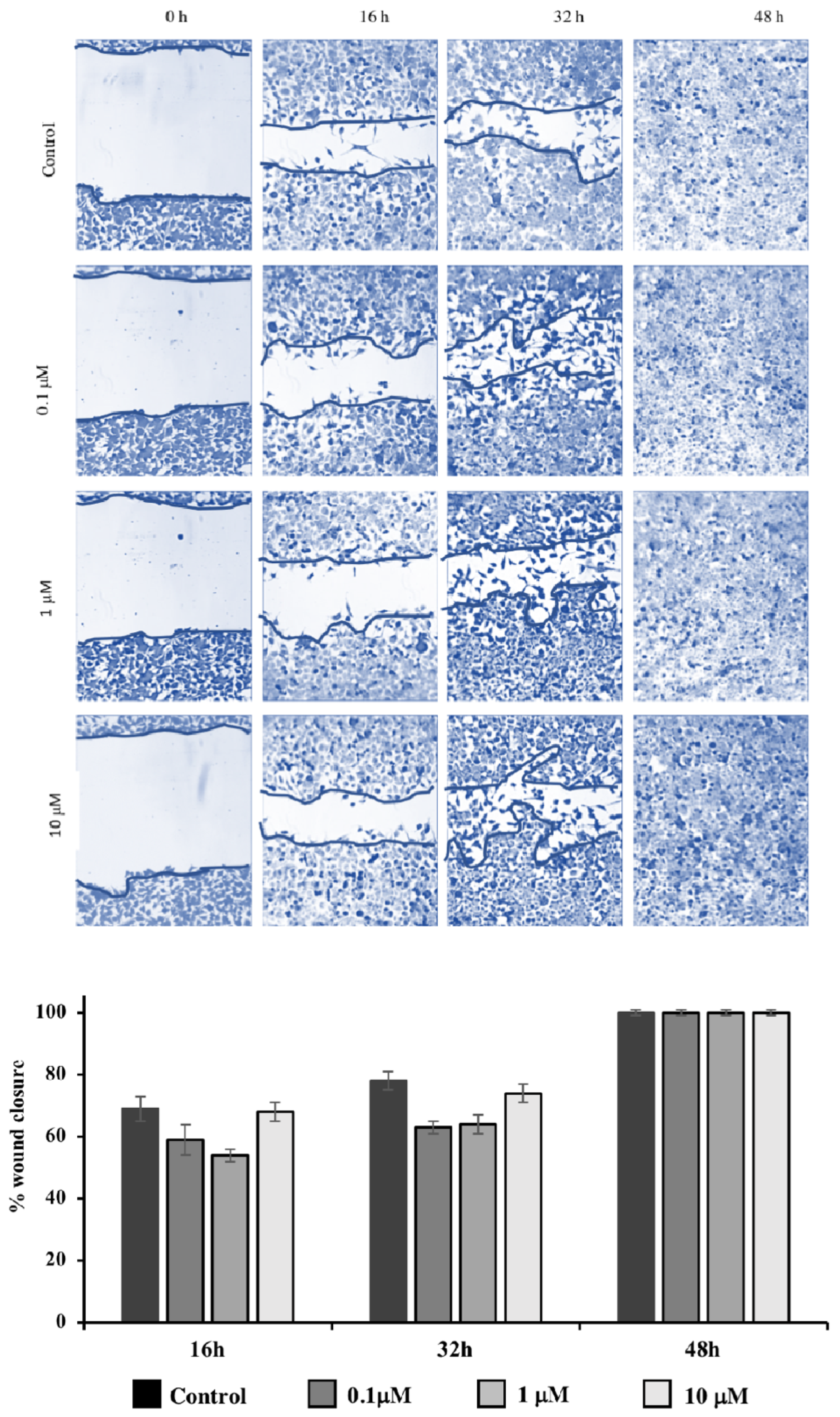 Pharmaceuticals 15 00228 g003
